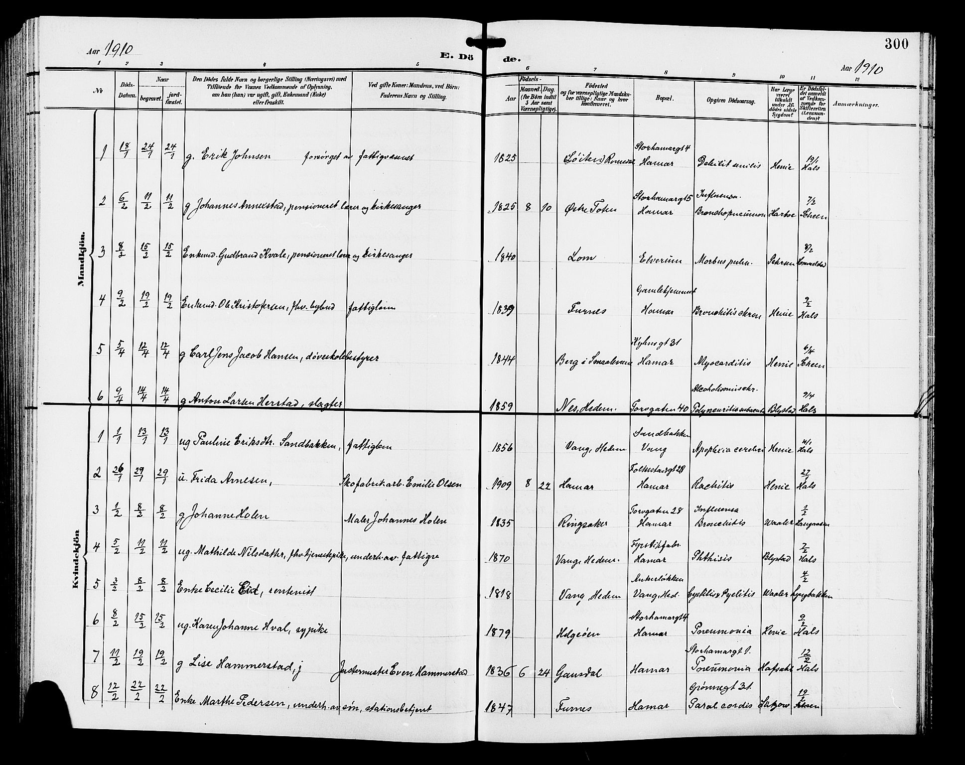 Hamar prestekontor, SAH/DOMPH-002/H/Ha/Hab/L0001: Parish register (copy) no. 1, 1899-1914, p. 300