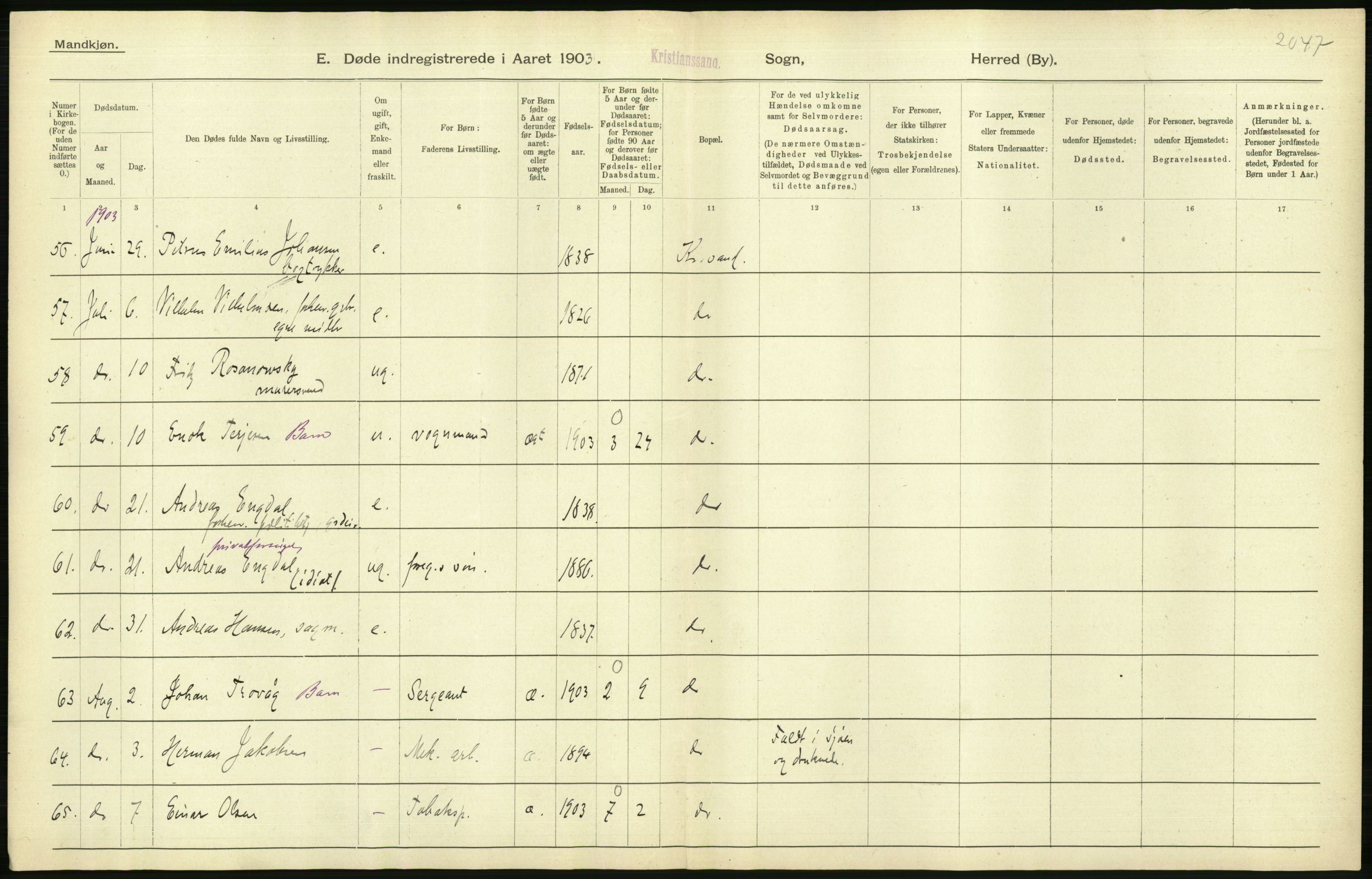 Statistisk sentralbyrå, Sosiodemografiske emner, Befolkning, AV/RA-S-2228/D/Df/Dfa/Dfaa/L0011: Lister og Mandal amt: Fødte, gifte, døde, 1903, p. 540