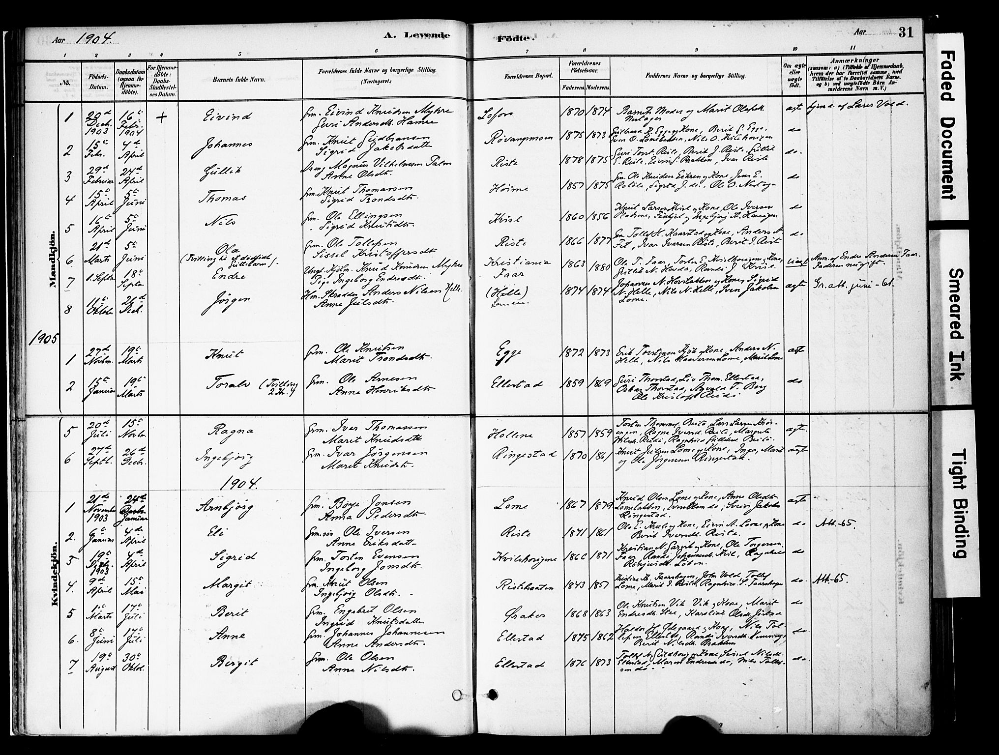 Vestre Slidre prestekontor, SAH/PREST-136/H/Ha/Haa/L0005: Parish register (official) no. 5, 1881-1912, p. 31