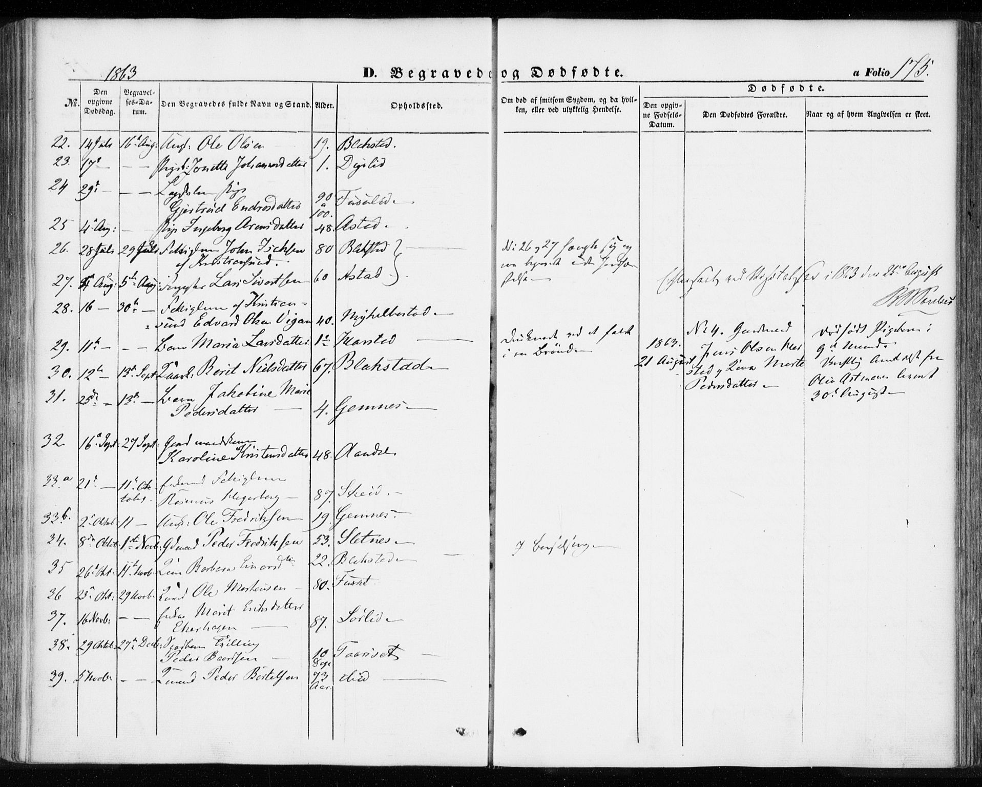 Ministerialprotokoller, klokkerbøker og fødselsregistre - Møre og Romsdal, AV/SAT-A-1454/584/L0965: Parish register (official) no. 584A05, 1857-1868, p. 175