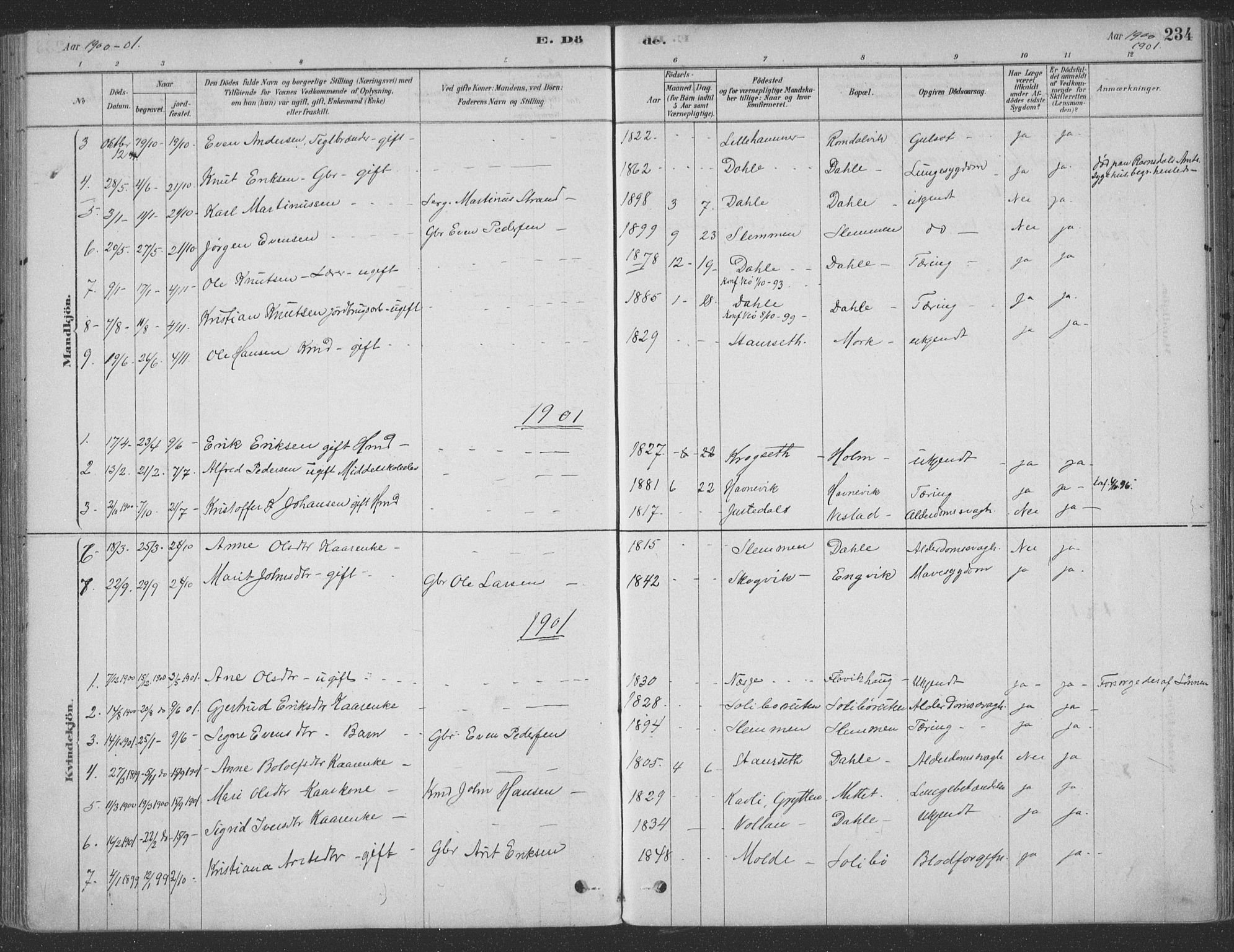 Ministerialprotokoller, klokkerbøker og fødselsregistre - Møre og Romsdal, SAT/A-1454/547/L0604: Parish register (official) no. 547A06, 1878-1906, p. 234