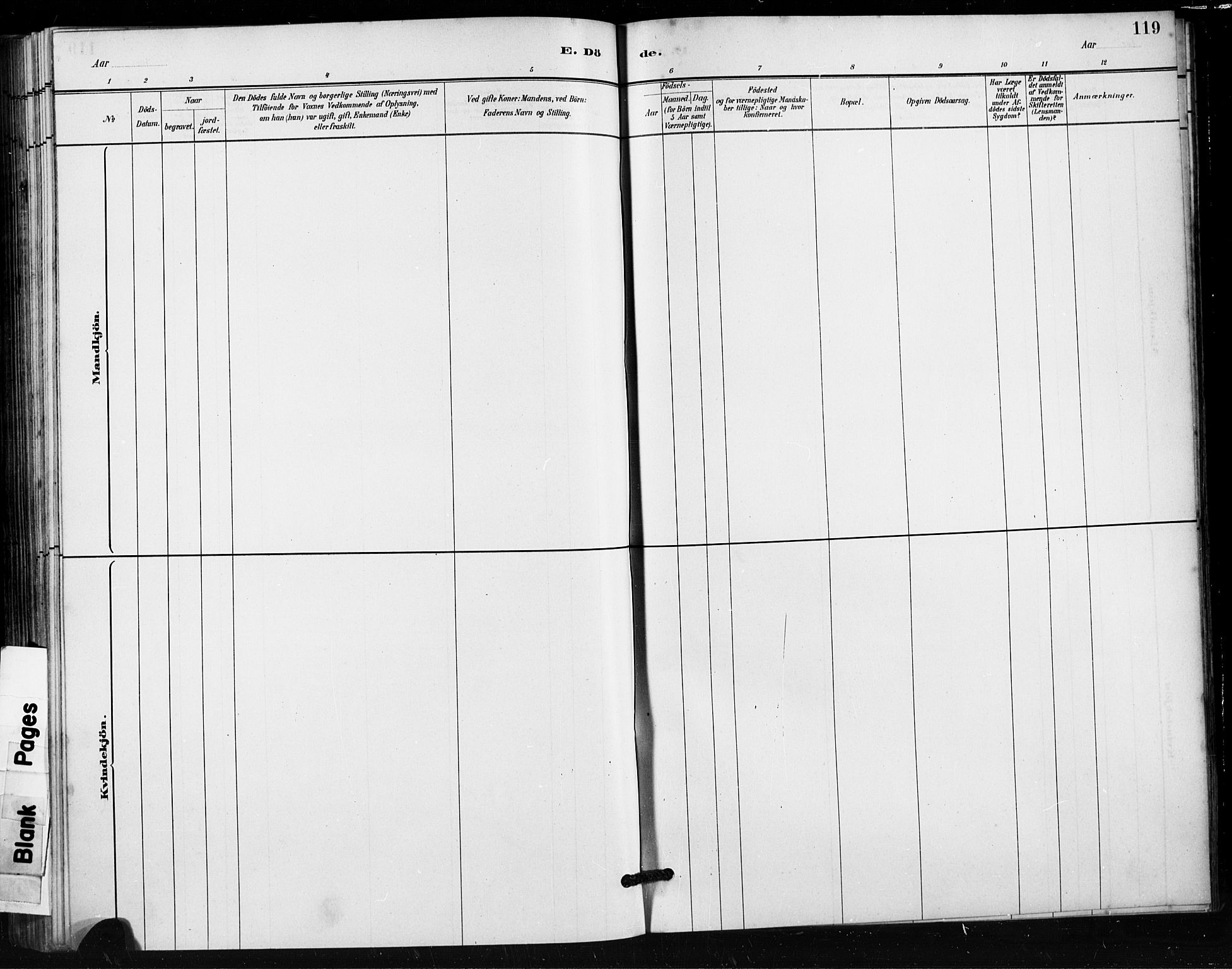 Håland sokneprestkontor, AV/SAST-A-101802/001/30BA/L0011: Parish register (official) no. A 10, 1883-1900, p. 119