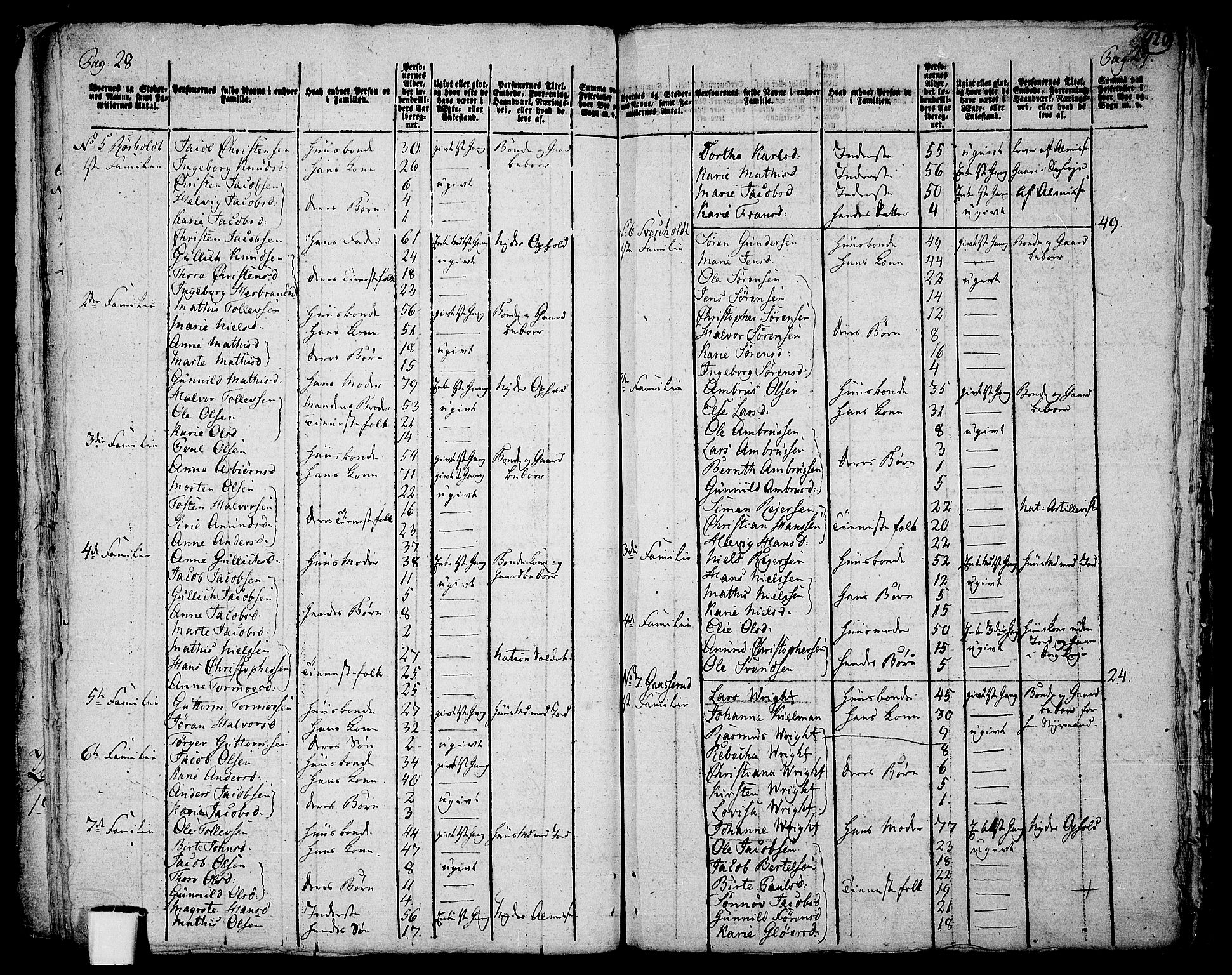 RA, 1801 census for 0728P Lardal, 1801, p. 119b-120a