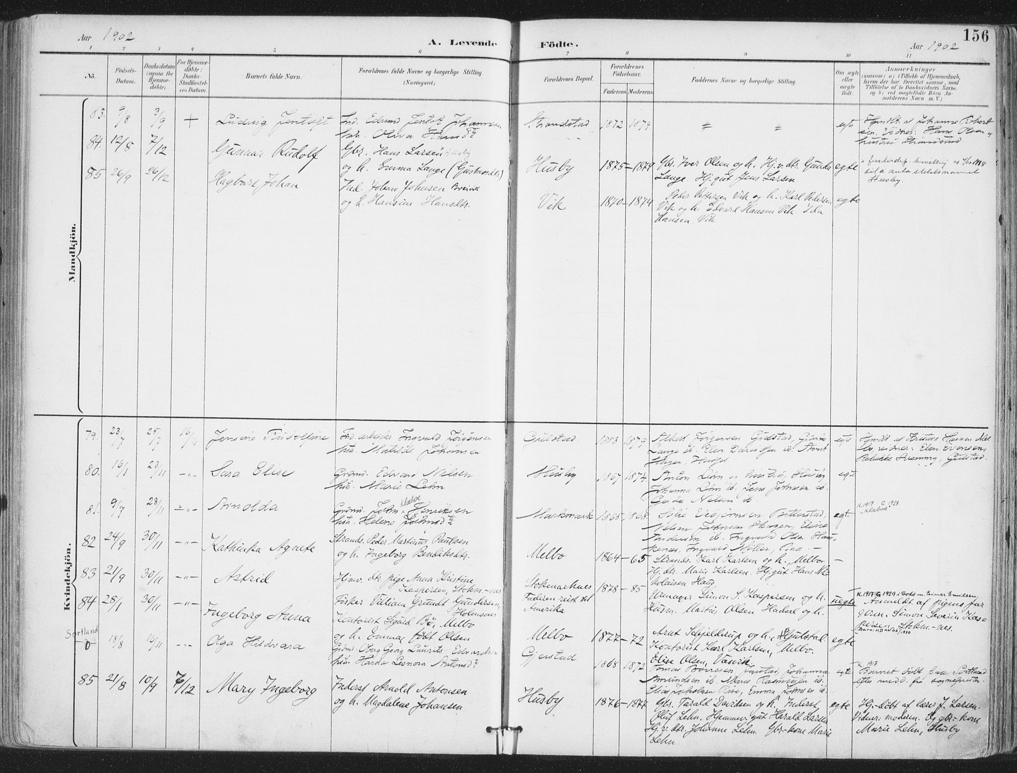 Ministerialprotokoller, klokkerbøker og fødselsregistre - Nordland, SAT/A-1459/888/L1246: Parish register (official) no. 888A12, 1891-1903, p. 156