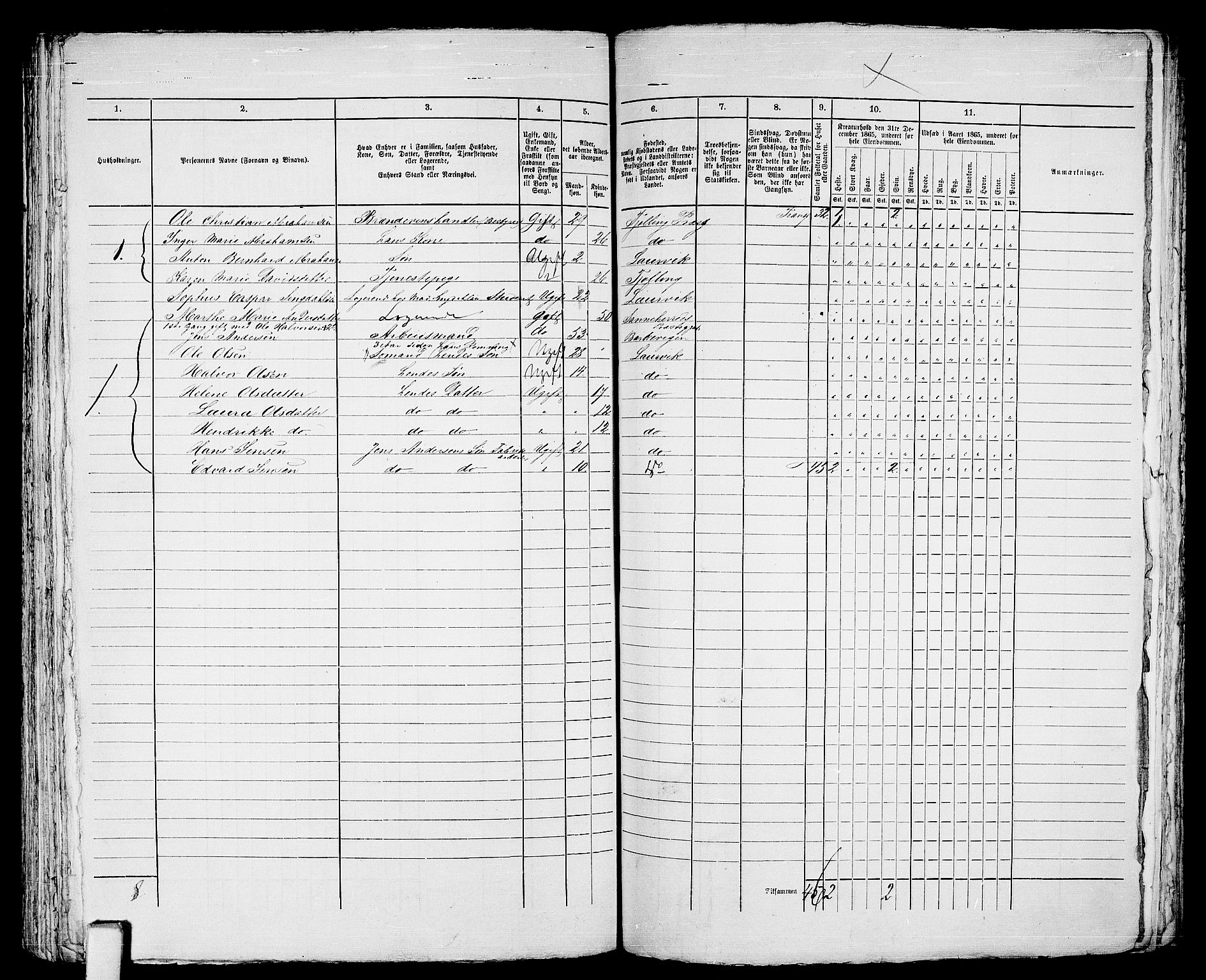 RA, 1865 census for Larvik, 1865, p. 446