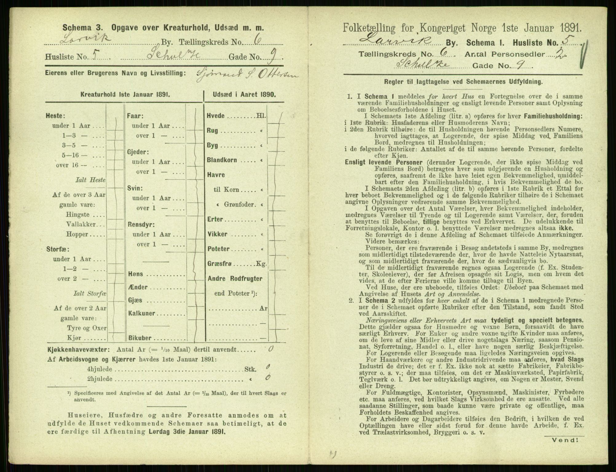 RA, 1891 census for 0707 Larvik, 1891, p. 815