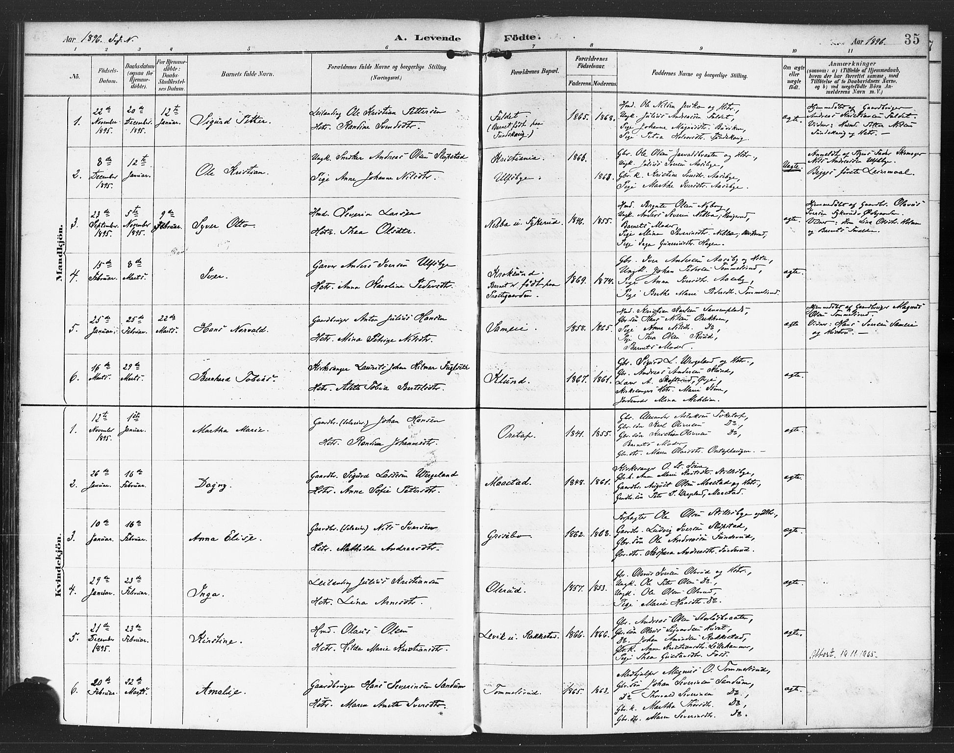 Rødenes prestekontor Kirkebøker, SAO/A-2005/F/Fa/L0010: Parish register (official) no. I 10, 1890-1900, p. 35