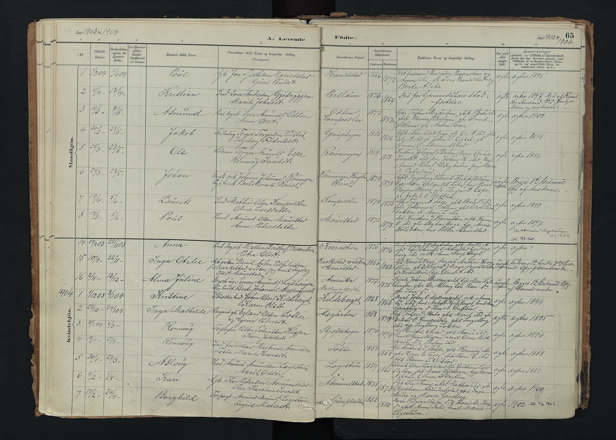 Nord-Fron prestekontor, SAH/PREST-080/H/Ha/Haa/L0005: Parish register (official) no. 5, 1884-1914, p. 65