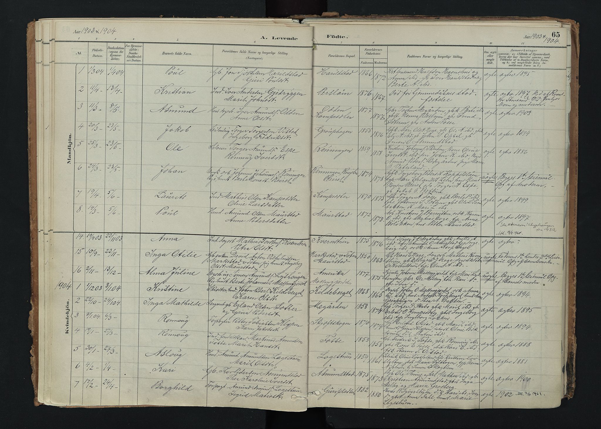 Nord-Fron prestekontor, AV/SAH-PREST-080/H/Ha/Haa/L0005: Parish register (official) no. 5, 1884-1914, p. 65