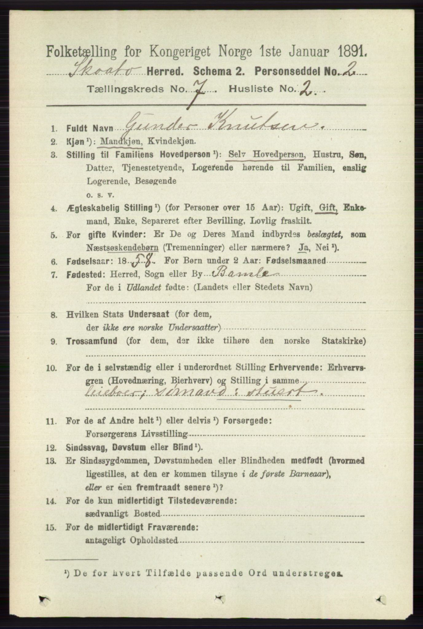 RA, 1891 census for 0815 Skåtøy, 1891, p. 3082