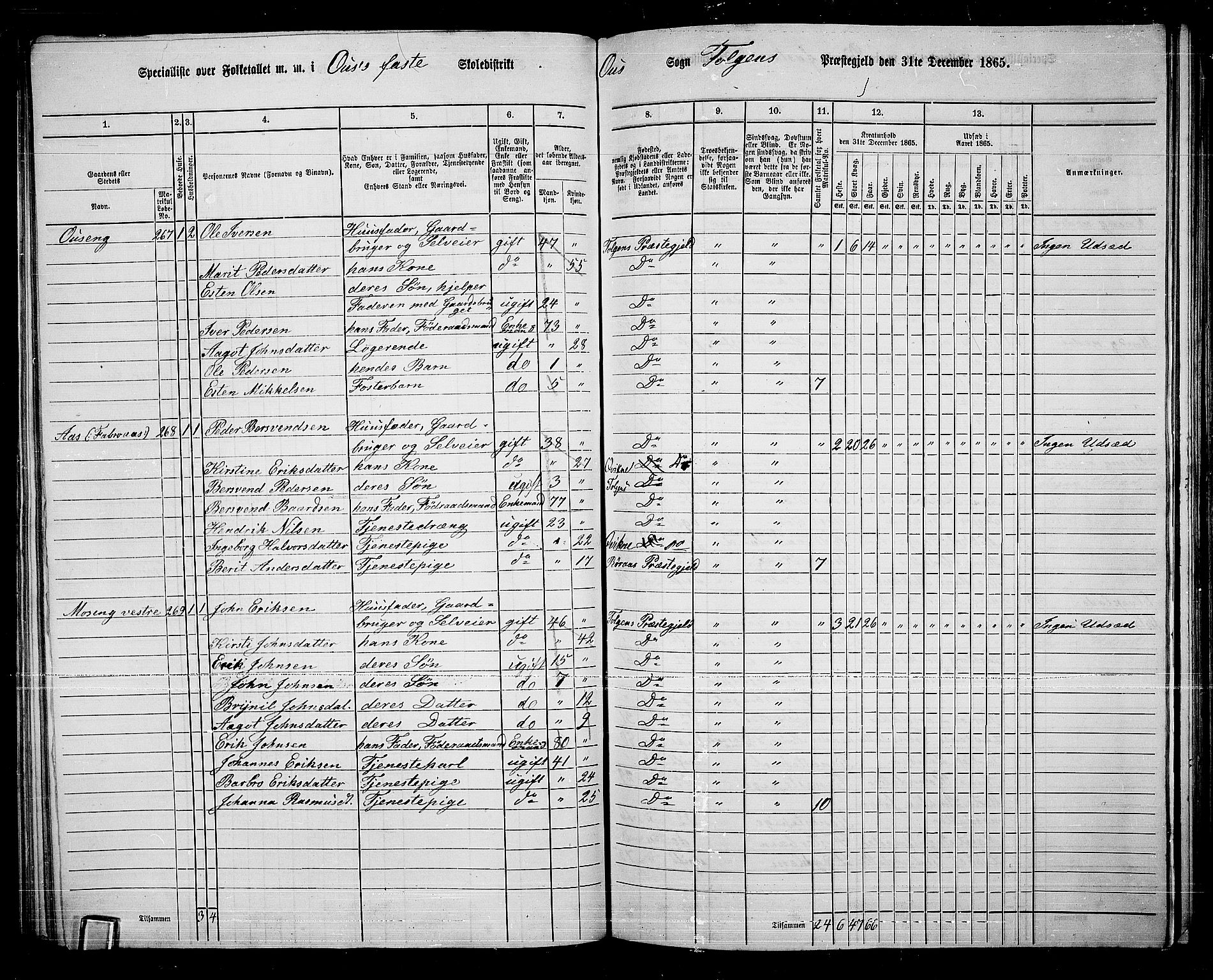 RA, 1865 census for Tolga, 1865, p. 142