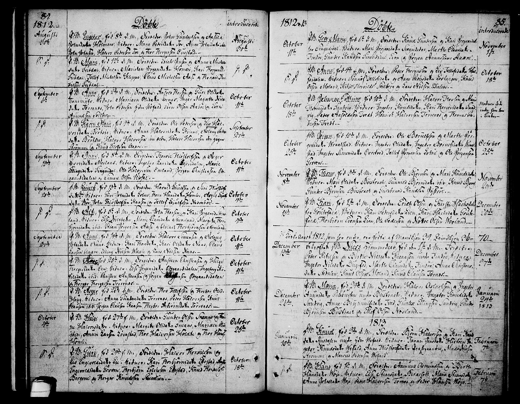 Drangedal kirkebøker, AV/SAKO-A-258/F/Fa/L0004: Parish register (official) no. 4, 1802-1814, p. 84-85