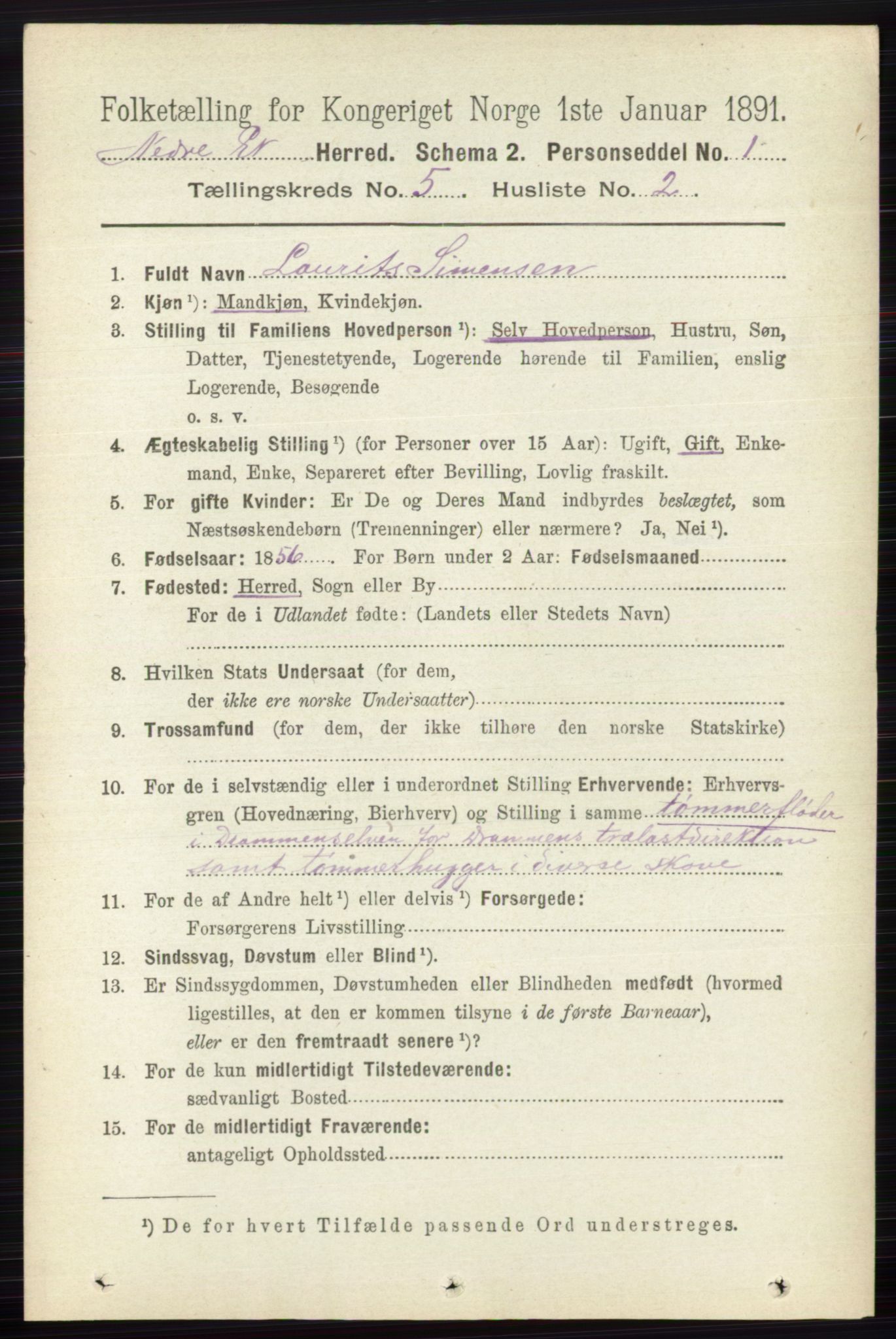 RA, 1891 census for 0625 Nedre Eiker, 1891, p. 2339