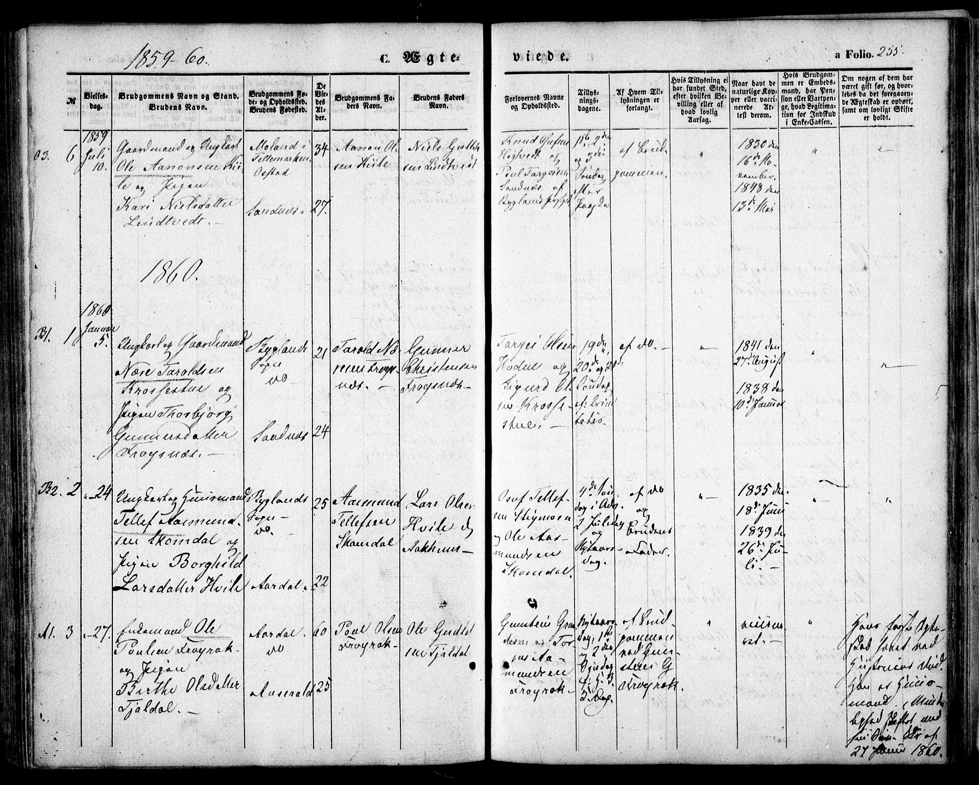 Bygland sokneprestkontor, SAK/1111-0006/F/Fa/Fab/L0005: Parish register (official) no. A 5, 1859-1873, p. 255