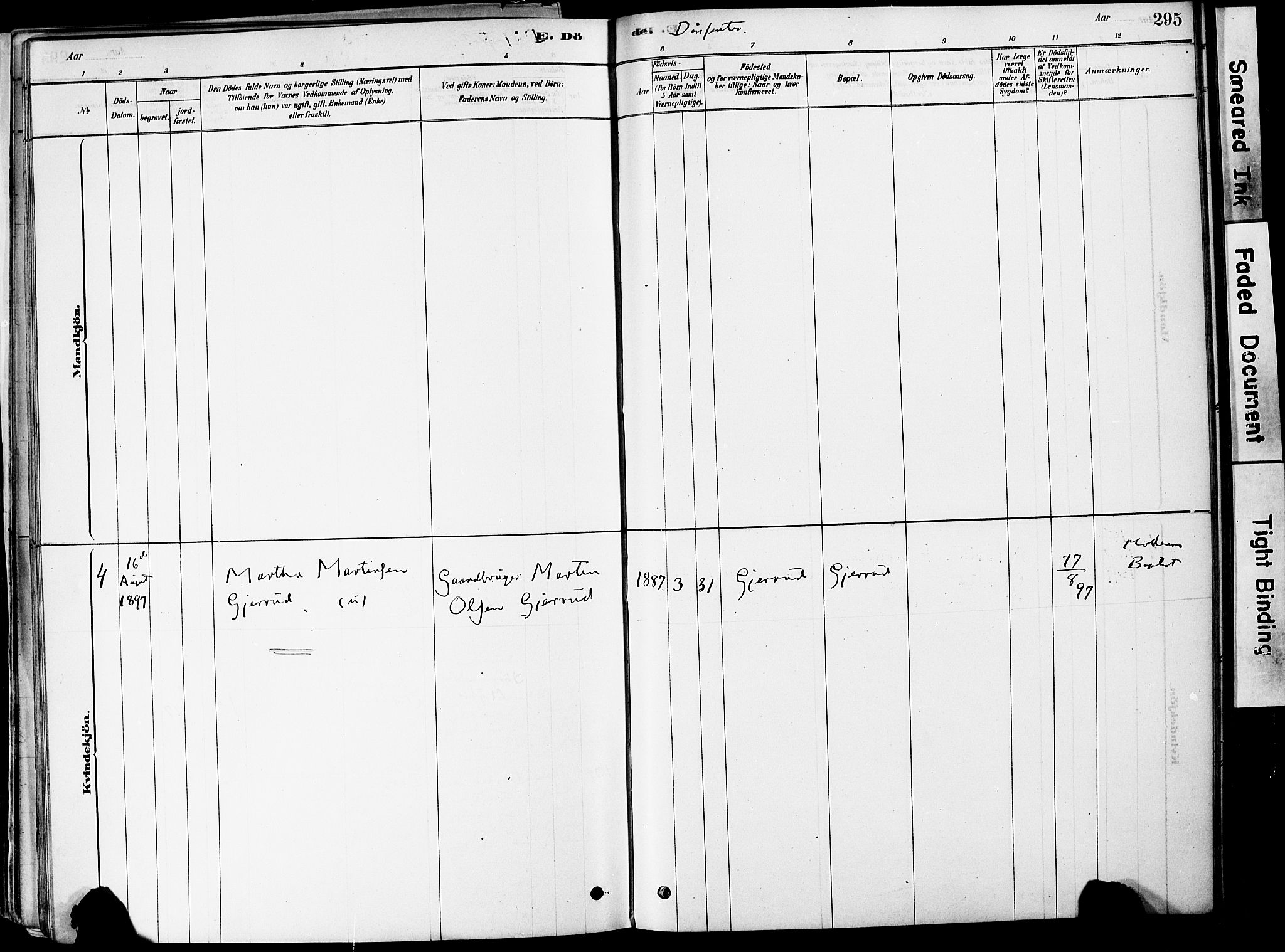 Strømm kirkebøker, AV/SAKO-A-322/F/Fa/L0004: Parish register (official) no. I 4, 1878-1899, p. 295