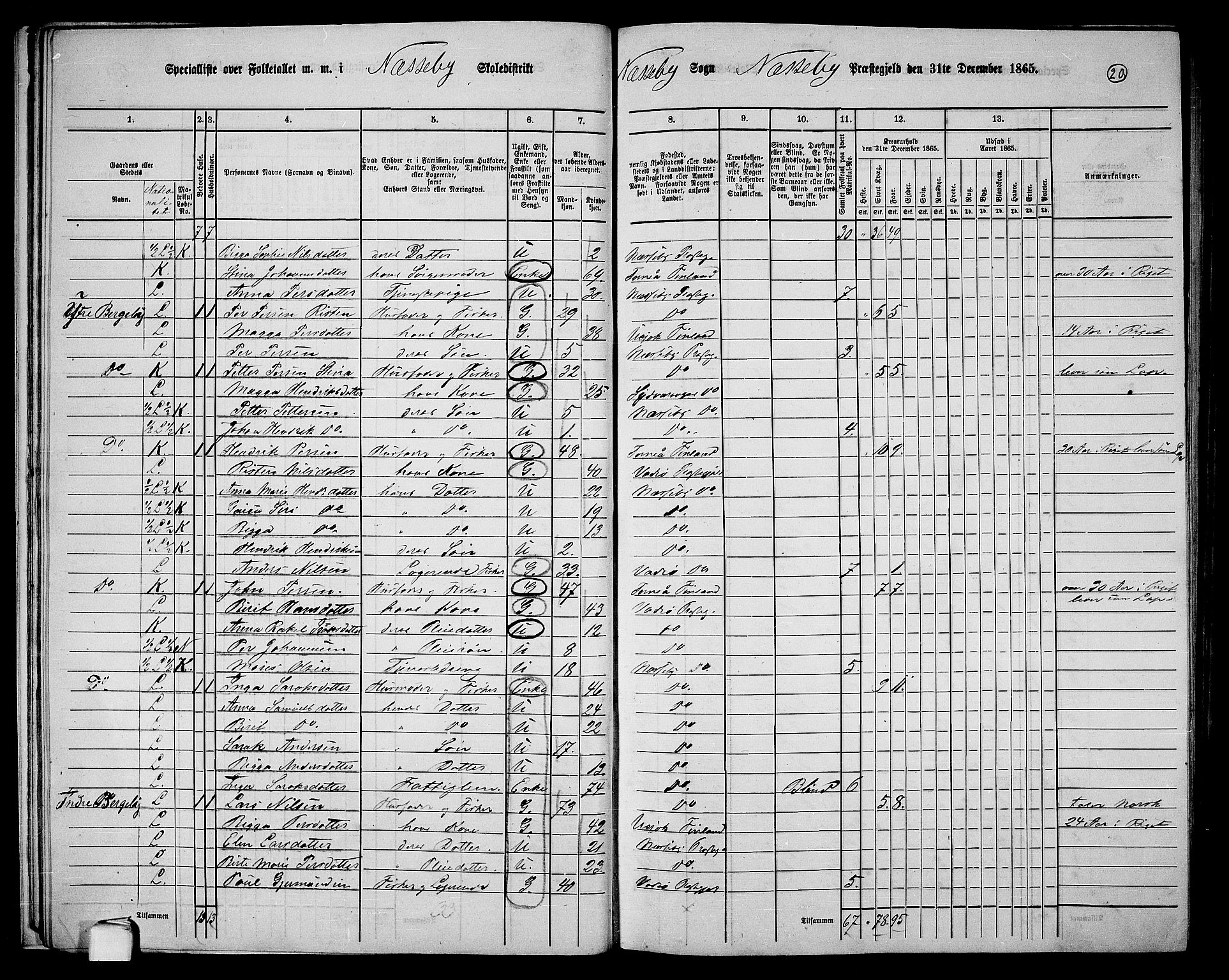 RA, 1865 census for Nesseby, 1865, p. 16