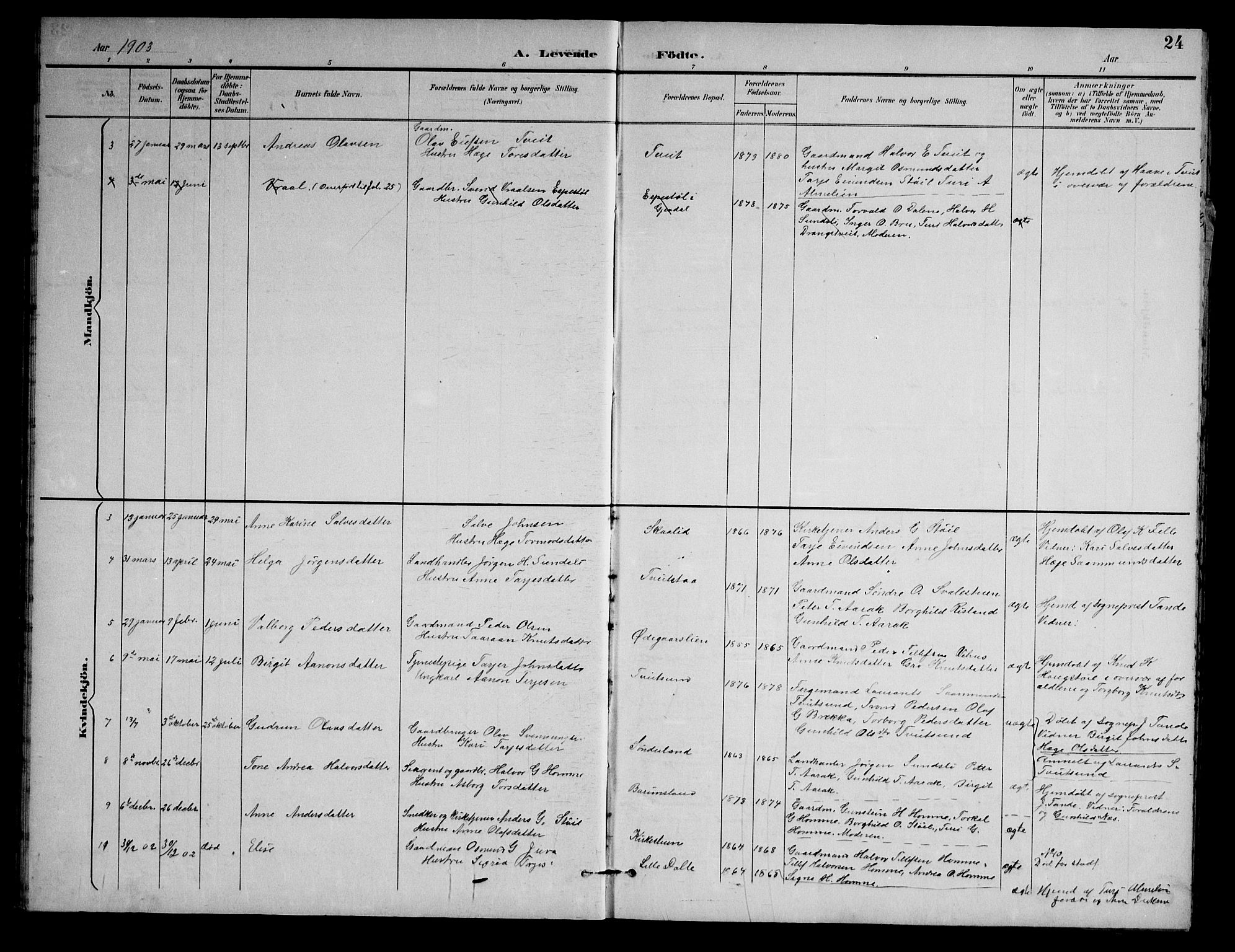 Nissedal kirkebøker, SAKO/A-288/G/Gb/L0003: Parish register (copy) no. II 3, 1893-1928, p. 24