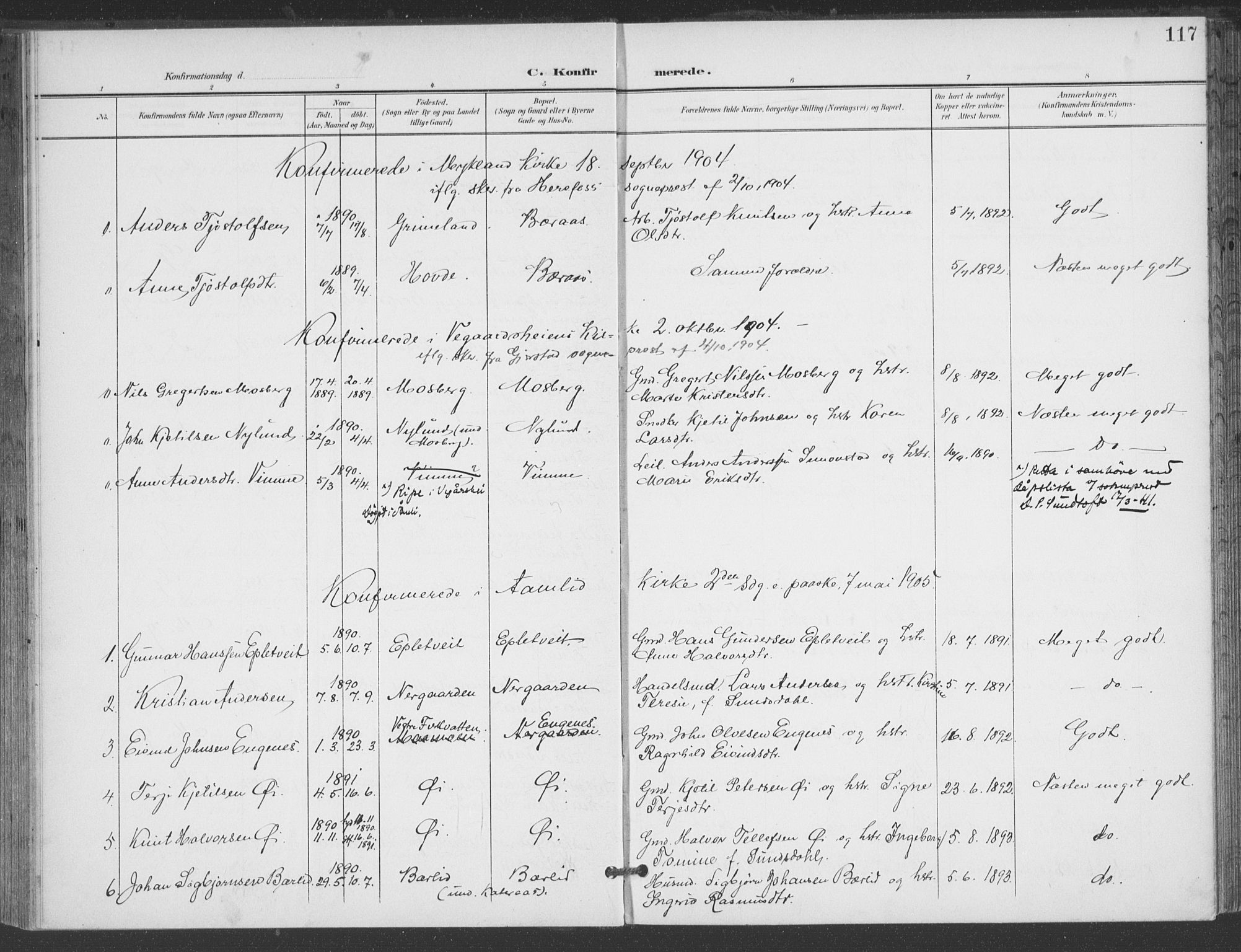 Åmli sokneprestkontor, AV/SAK-1111-0050/F/Fa/Fac/L0012: Parish register (official) no. A 12, 1900-1914, p. 117