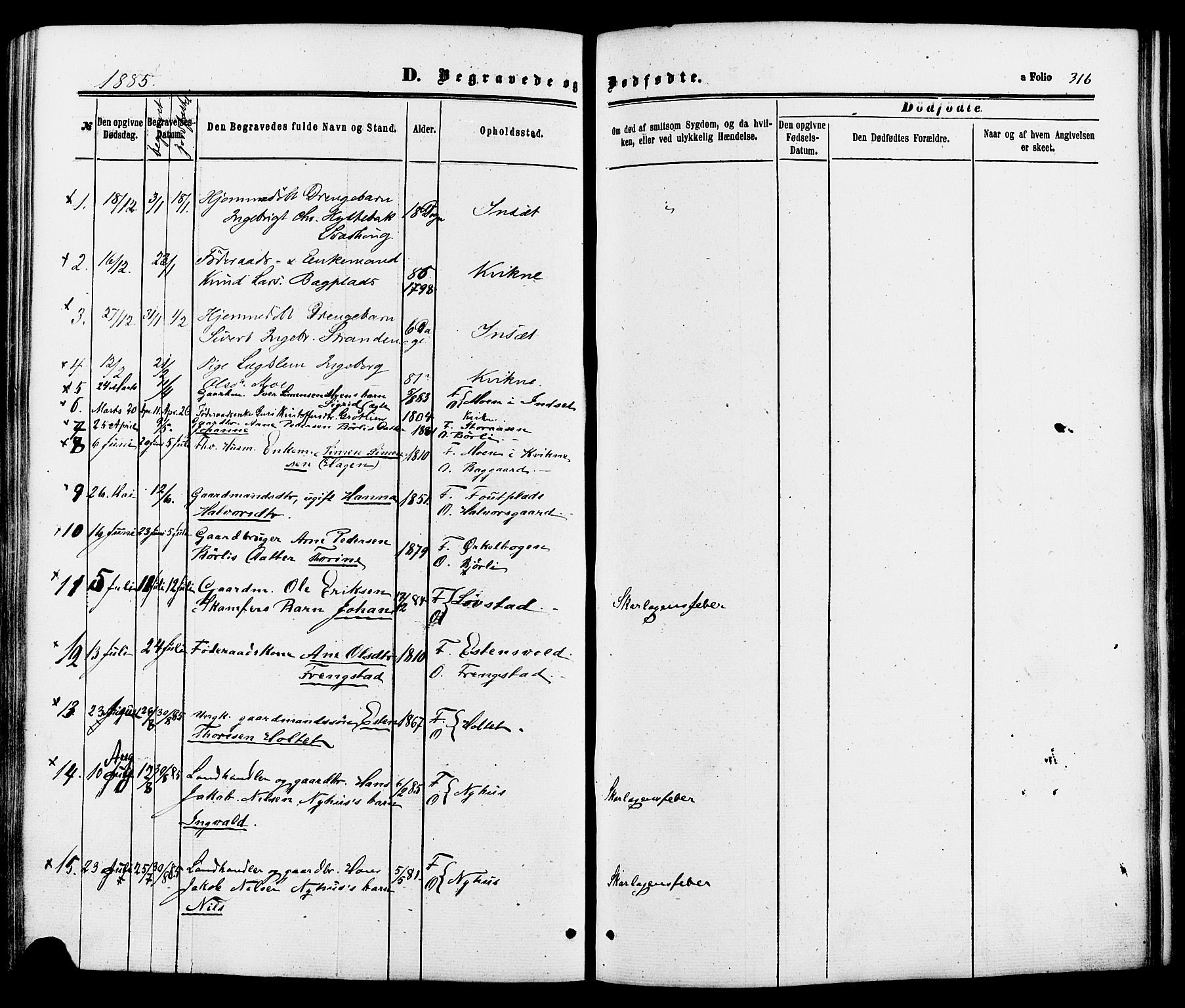 Kvikne prestekontor, SAH/PREST-064/H/Ha/Haa/L0006: Parish register (official) no. 6, 1863-1886, p. 316