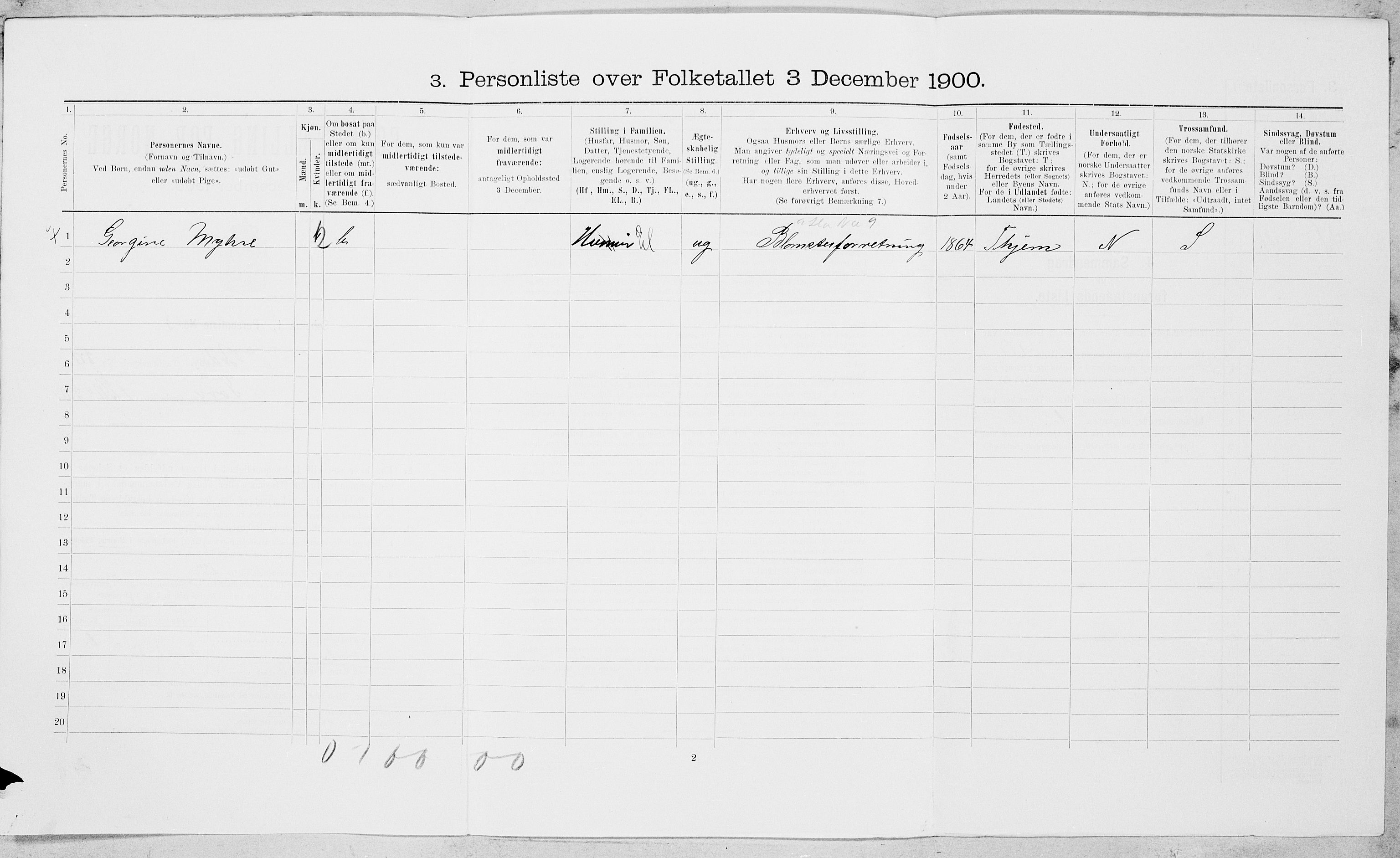 SAT, 1900 census for Bodø, 1900, p. 724