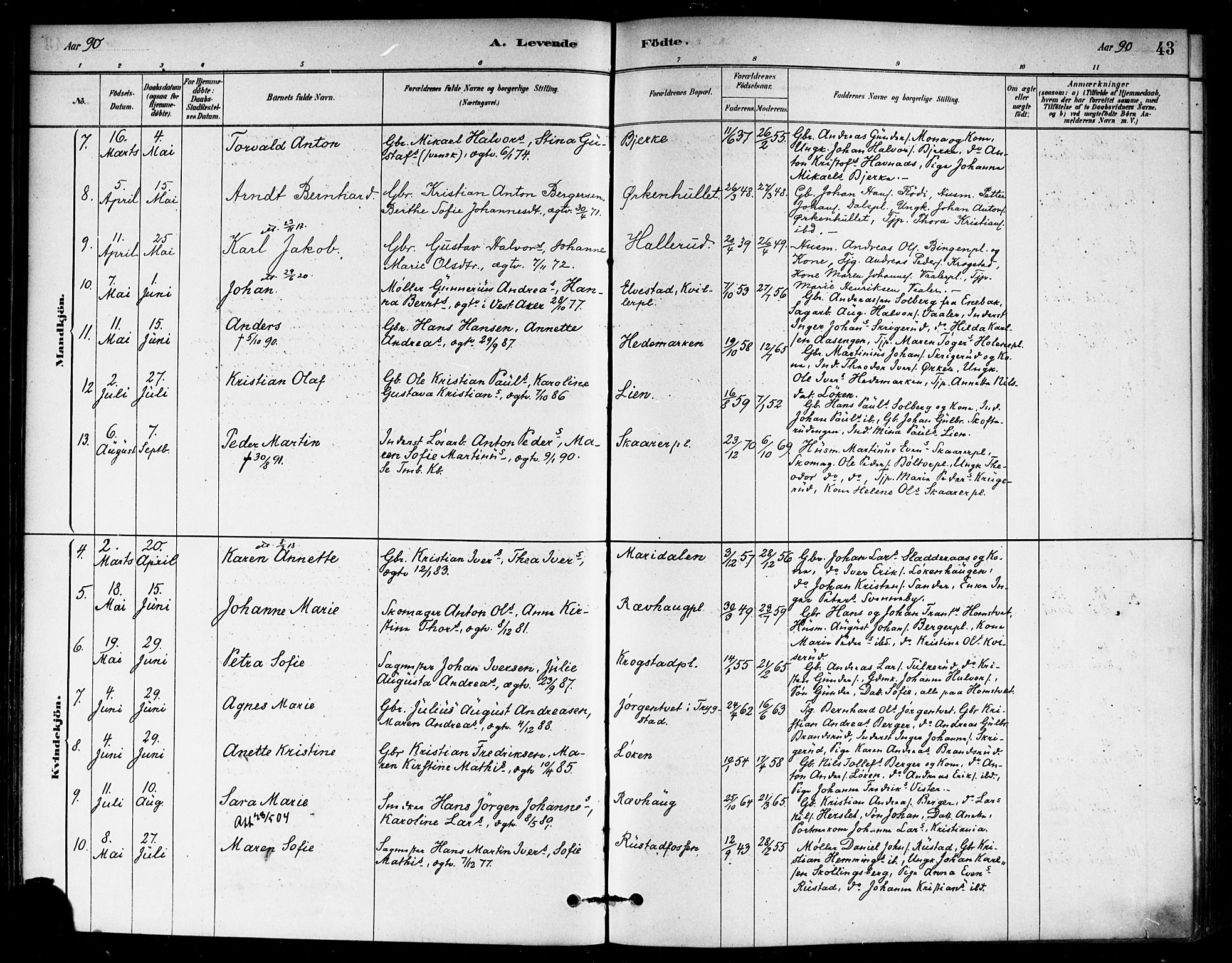 Eidsberg prestekontor Kirkebøker, AV/SAO-A-10905/F/Fb/L0001: Parish register (official) no. II 1, 1879-1900, p. 43