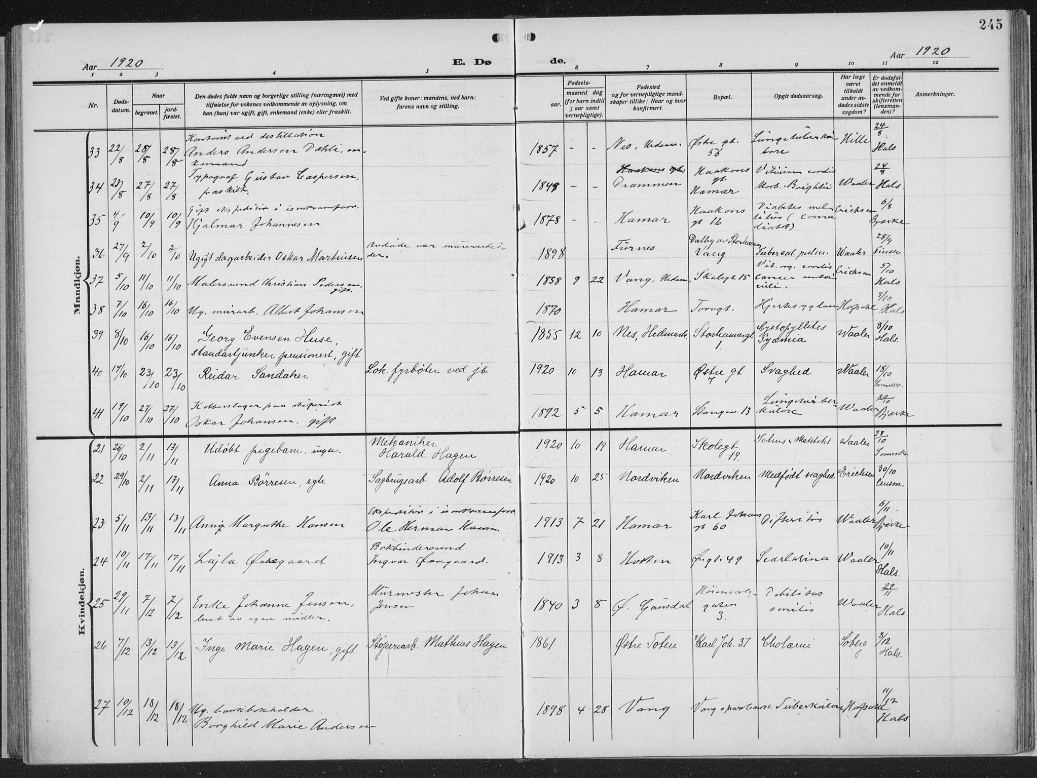 Hamar prestekontor, AV/SAH-DOMPH-002/H/Ha/Haa/L0002: Parish register (official) no. 2, 1915-1936, p. 245