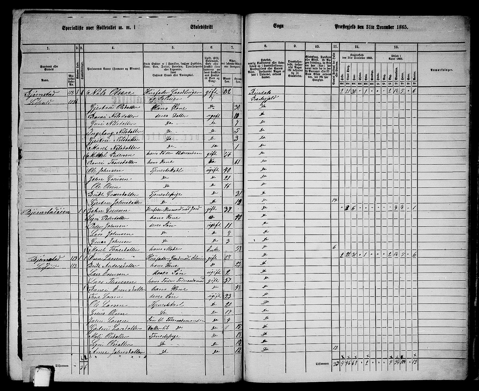 RA, 1865 census for Rindal, 1865, p. 91