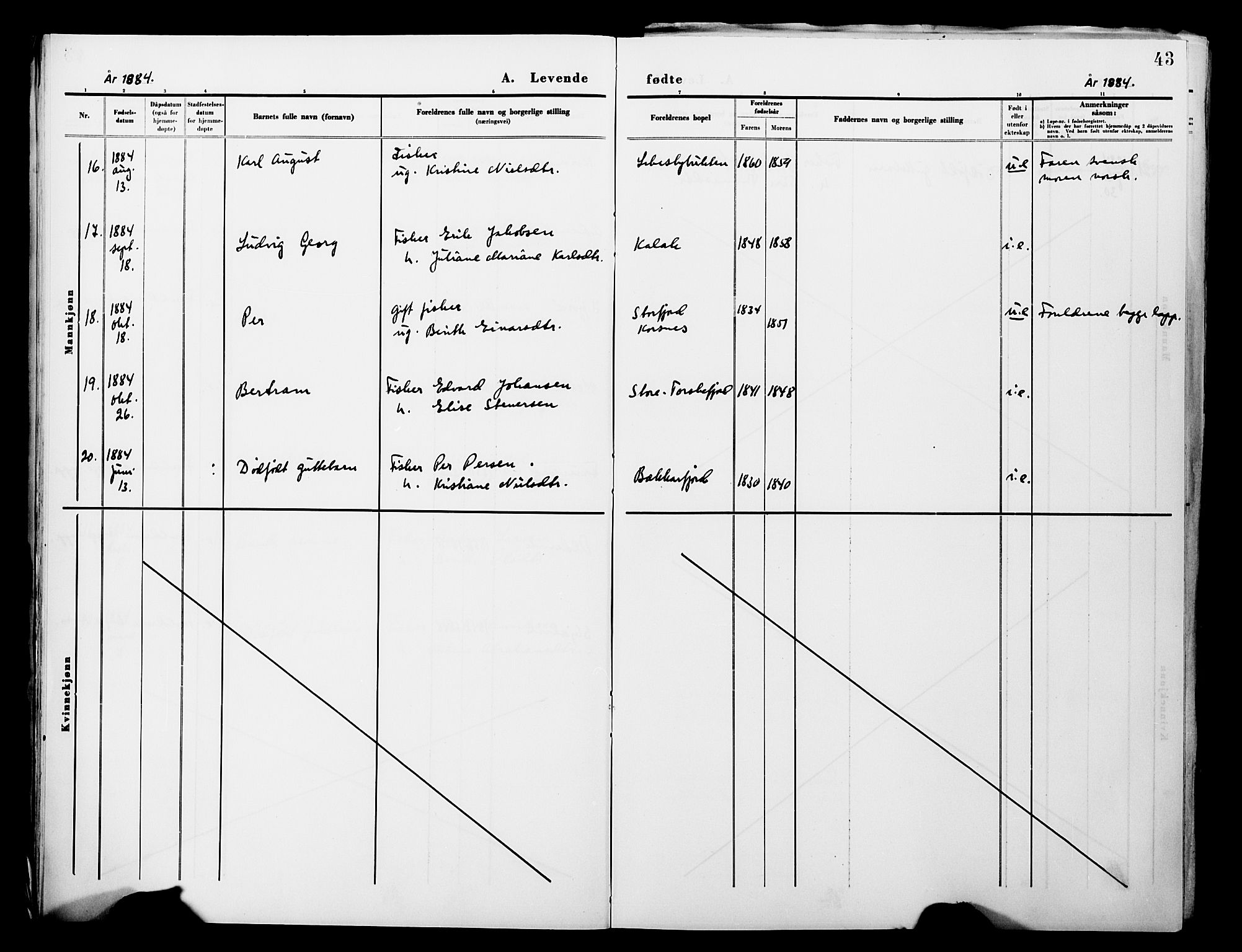 Lebesby sokneprestkontor, AV/SATØ-S-1353/H/Ha/L0004kirke: Parish register (official) no. 4, 1870-1902, p. 43