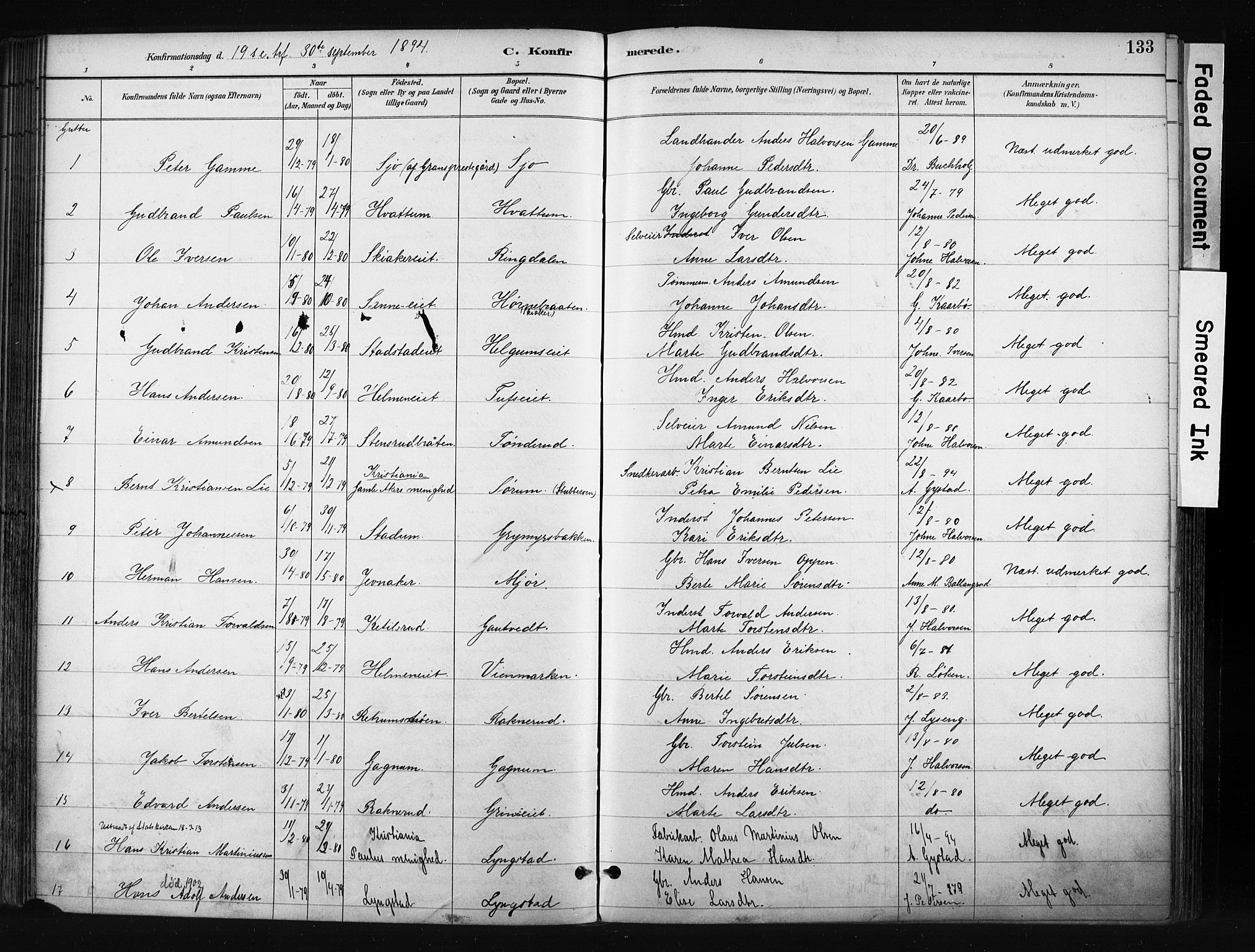 Gran prestekontor, SAH/PREST-112/H/Ha/Haa/L0017: Parish register (official) no. 17, 1889-1897, p. 133