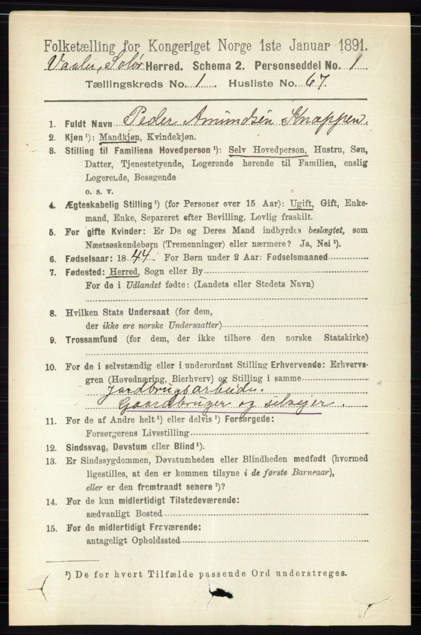 RA, 1891 census for 0426 Våler, 1891, p. 424