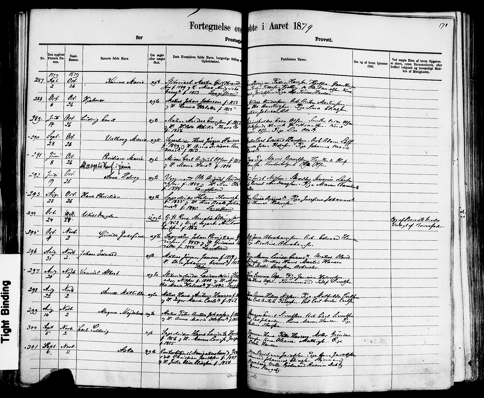 Larvik kirkebøker, AV/SAKO-A-352/F/Fa/L0006: Parish register (official) no. I 6, 1871-1883, p. 178