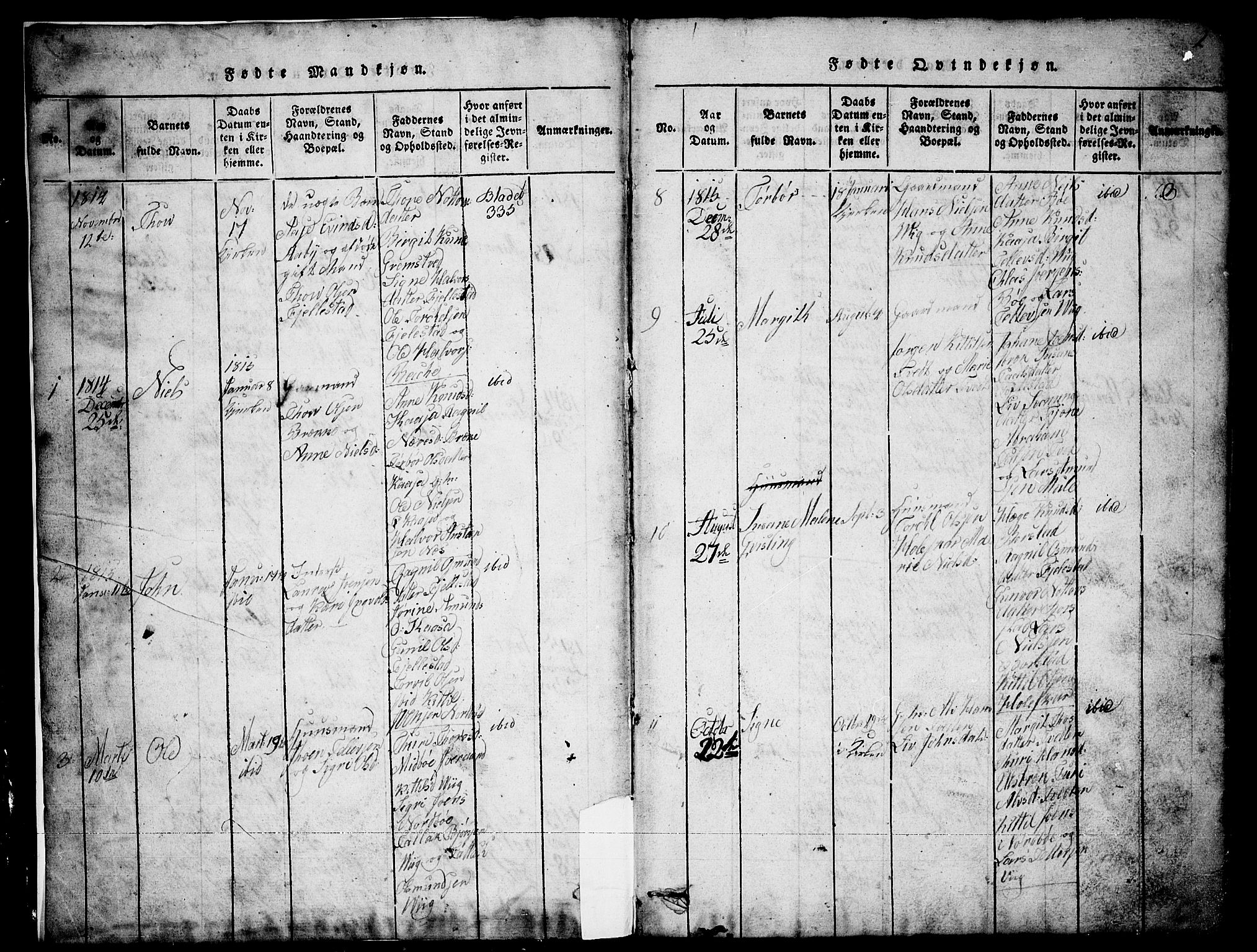 Nissedal kirkebøker, AV/SAKO-A-288/G/Ga/L0001: Parish register (copy) no. I 1, 1814-1860, p. 2