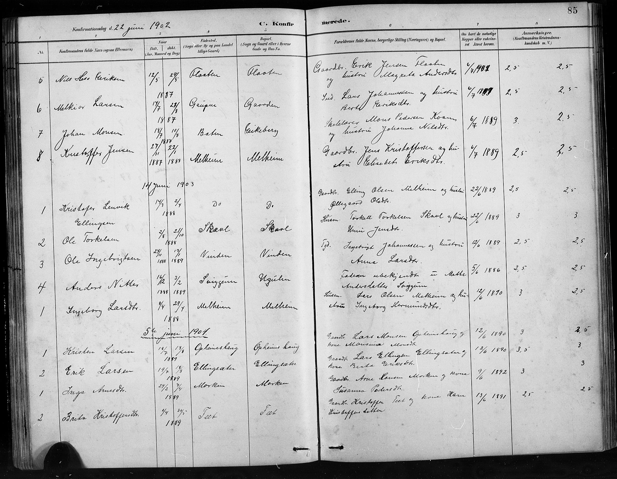 Jostedal sokneprestembete, AV/SAB-A-80601/H/Hab/Habb/L0001: Parish register (copy) no. B 1, 1882-1921, p. 85