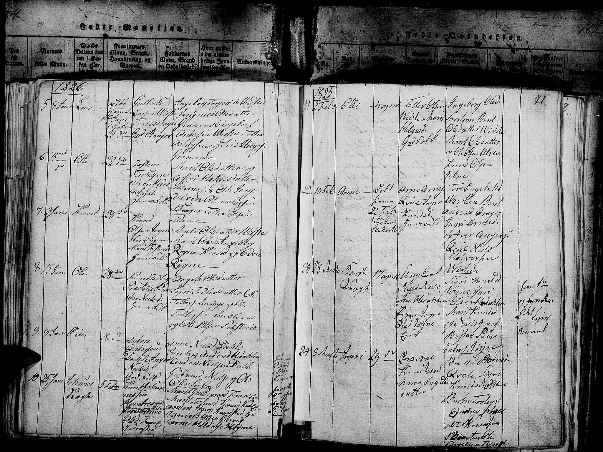 Slidre prestekontor, SAH/PREST-134/H/Ha/Haa/L0002: Parish register (official) no. 2, 1814-1830, p. 186u