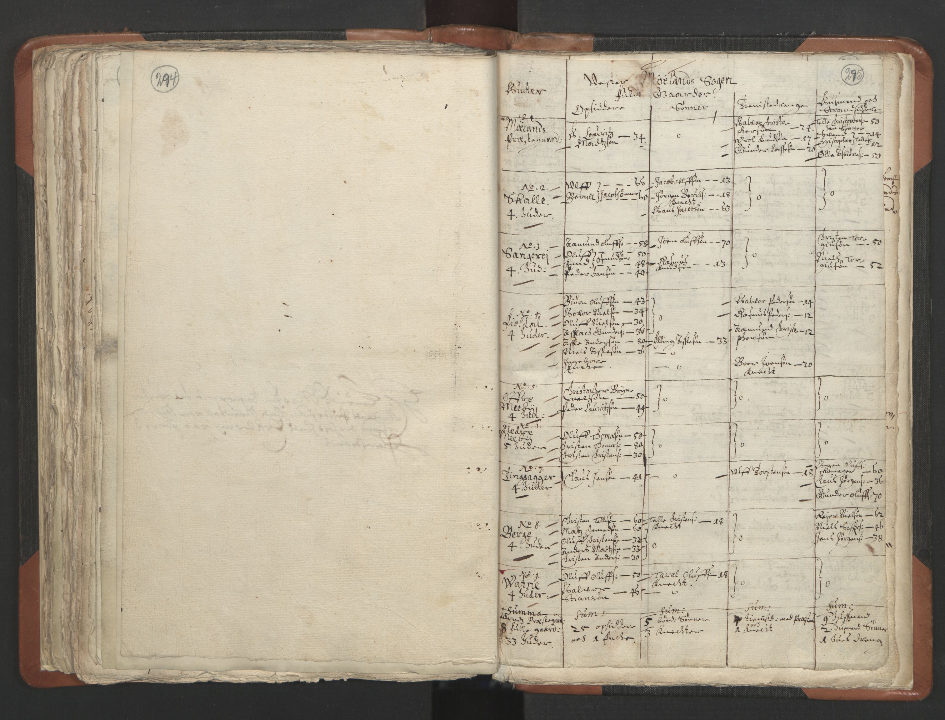 RA, Vicar's Census 1664-1666, no. 13: Nedenes deanery, 1664-1666, p. 294-295