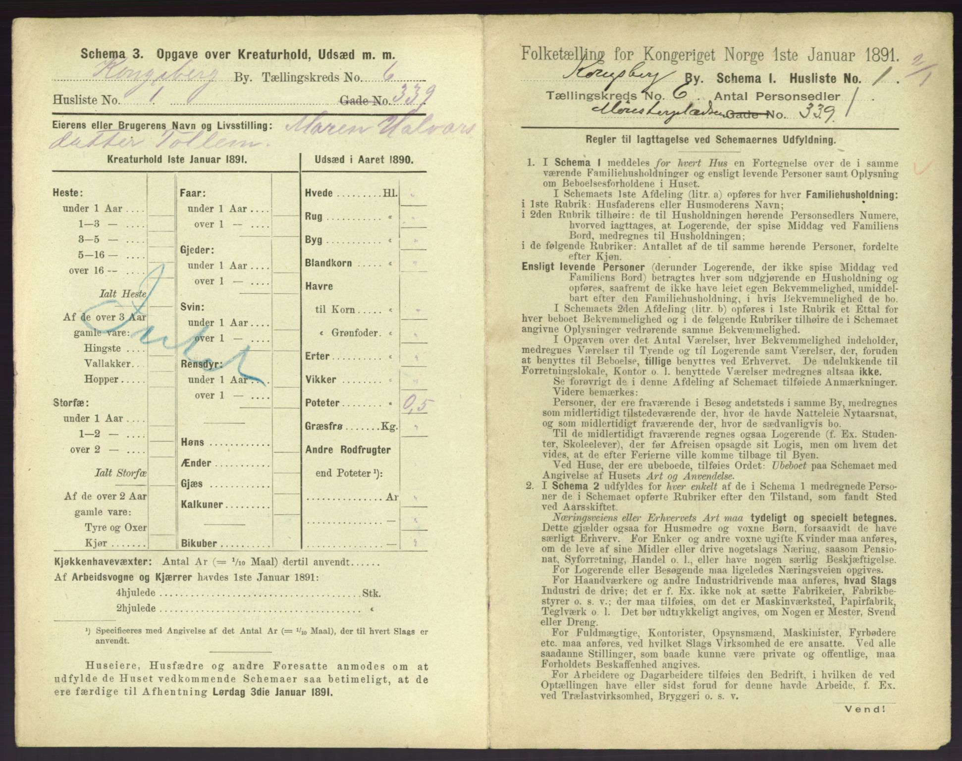 RA, 1891 census for 0604 Kongsberg, 1891, p. 929