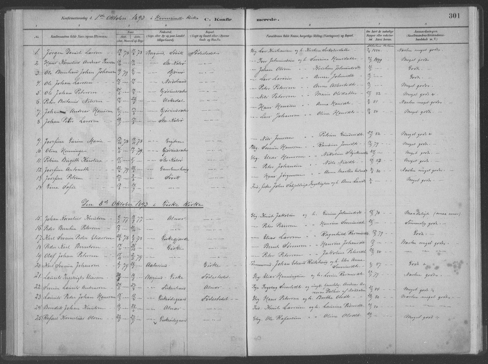Ministerialprotokoller, klokkerbøker og fødselsregistre - Møre og Romsdal, SAT/A-1454/528/L0402: Parish register (official) no. 528A12II, 1880-1903, p. 301