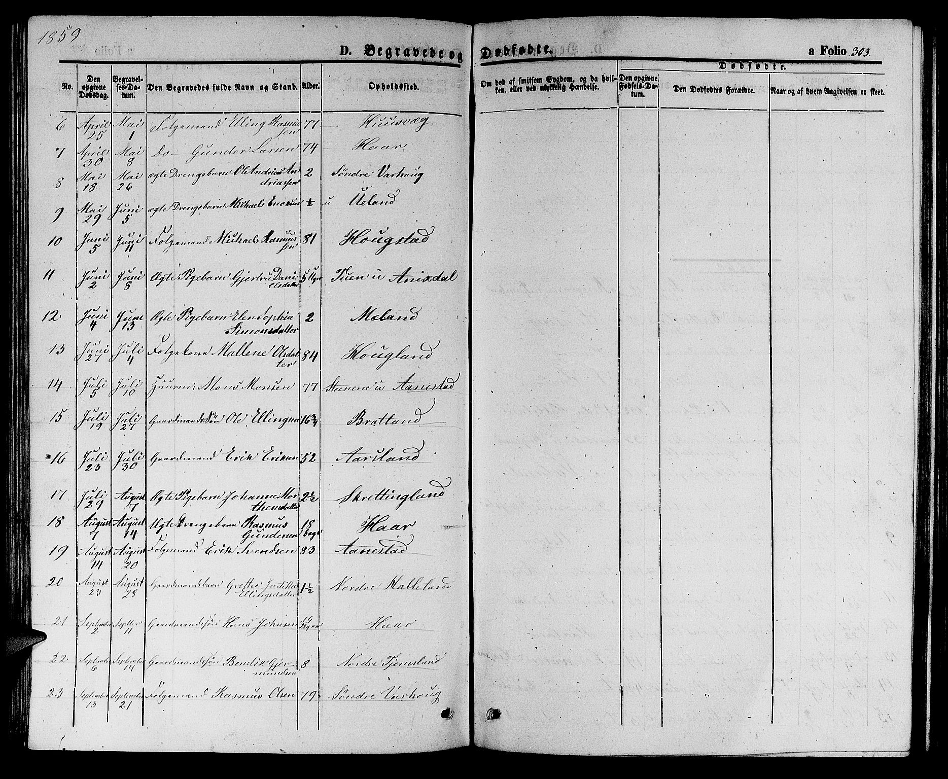 Hå sokneprestkontor, AV/SAST-A-101801/001/30BB/L0002: Parish register (copy) no. B 2, 1854-1883, p. 303