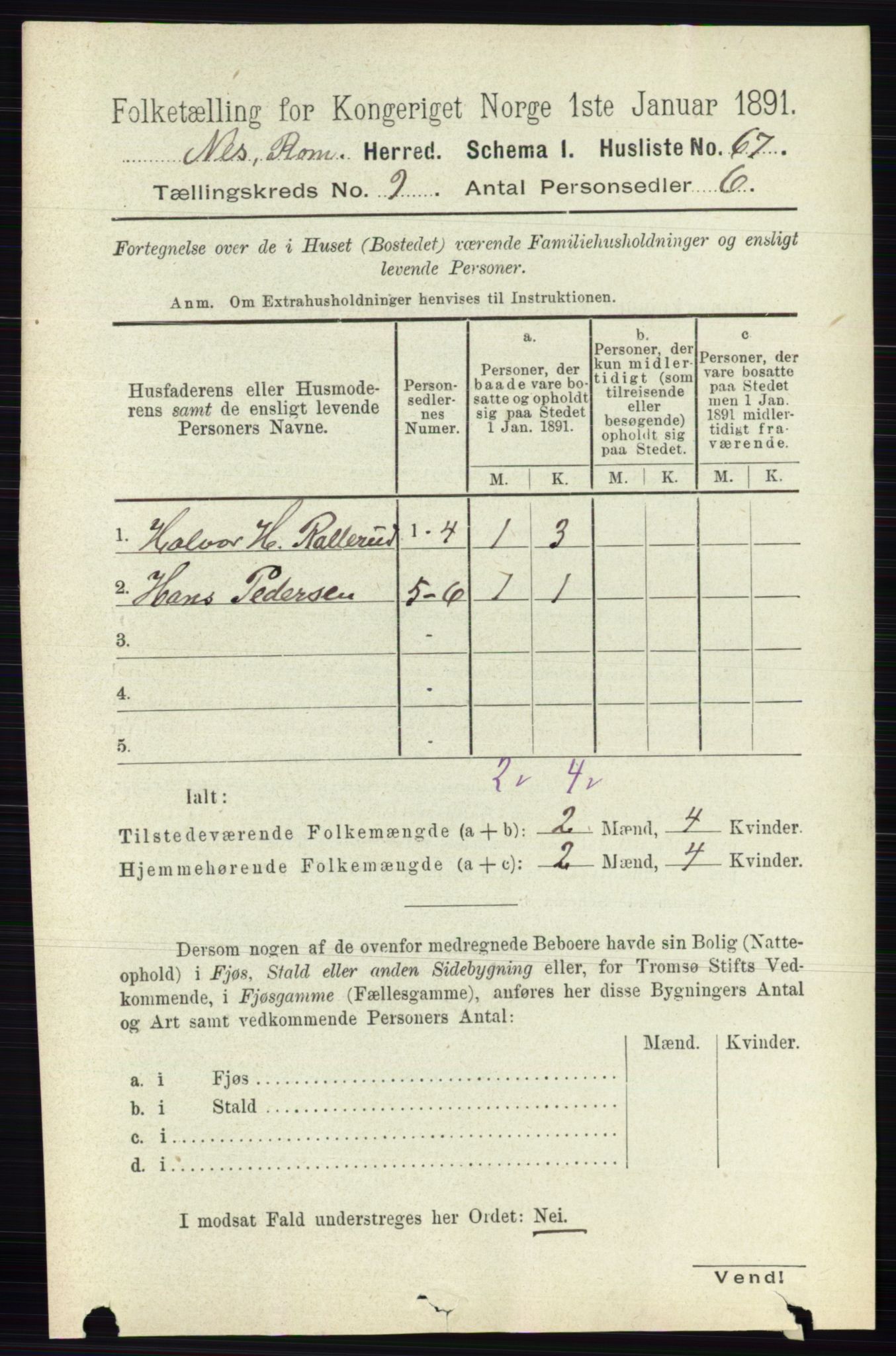 RA, 1891 census for 0236 Nes, 1891, p. 5253