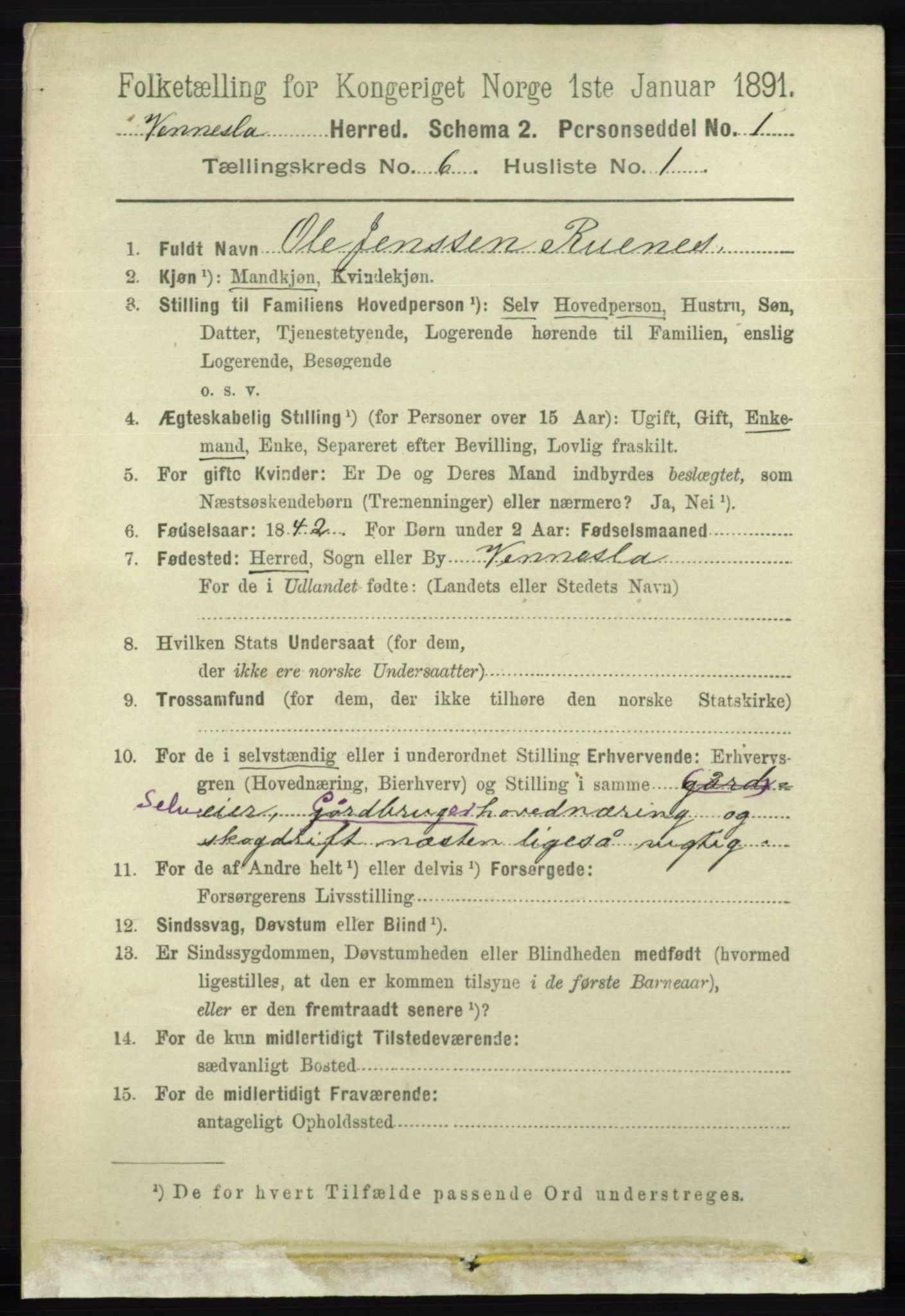 RA, 1891 census for 1014 Vennesla, 1891, p. 1593