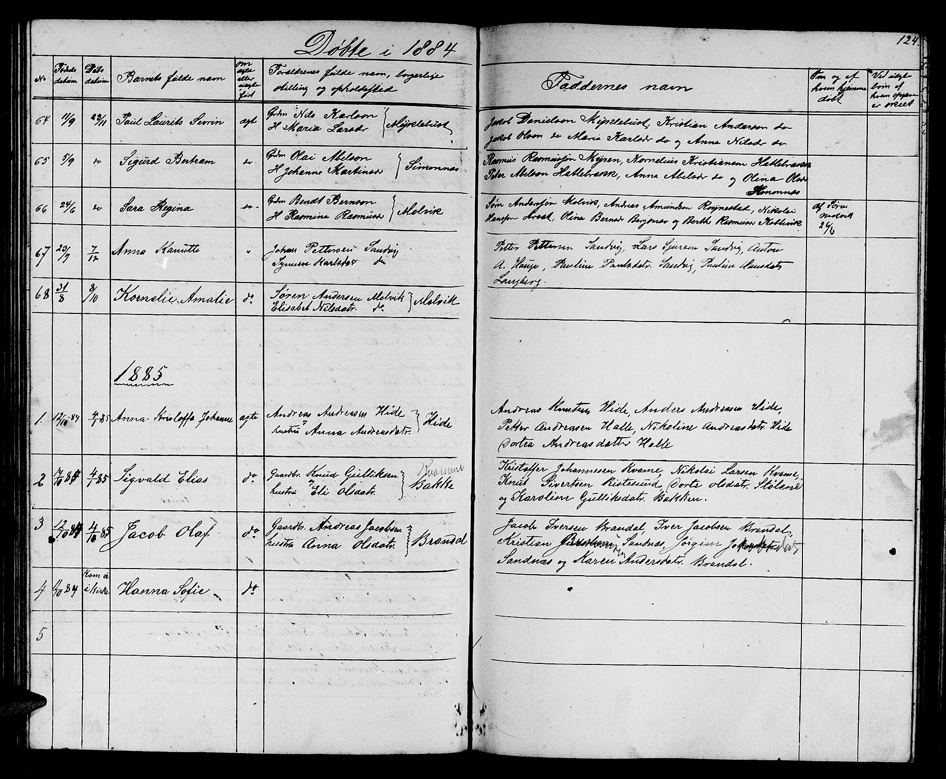 Ministerialprotokoller, klokkerbøker og fødselsregistre - Møre og Romsdal, AV/SAT-A-1454/503/L0047: Parish register (copy) no. 503C02, 1854-1884, p. 124