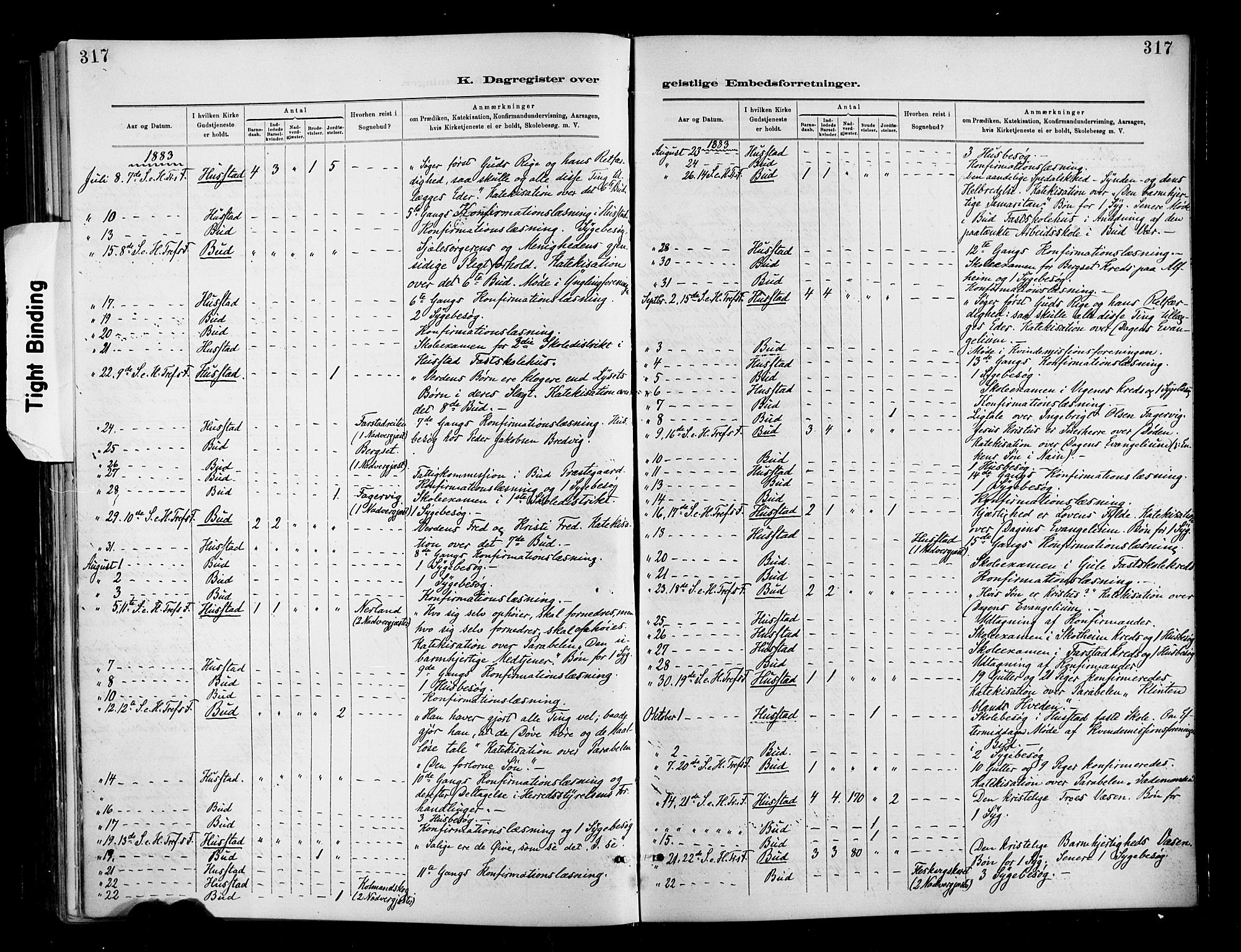 Ministerialprotokoller, klokkerbøker og fødselsregistre - Møre og Romsdal, AV/SAT-A-1454/566/L0769: Parish register (official) no. 566A08, 1881-1903, p. 317