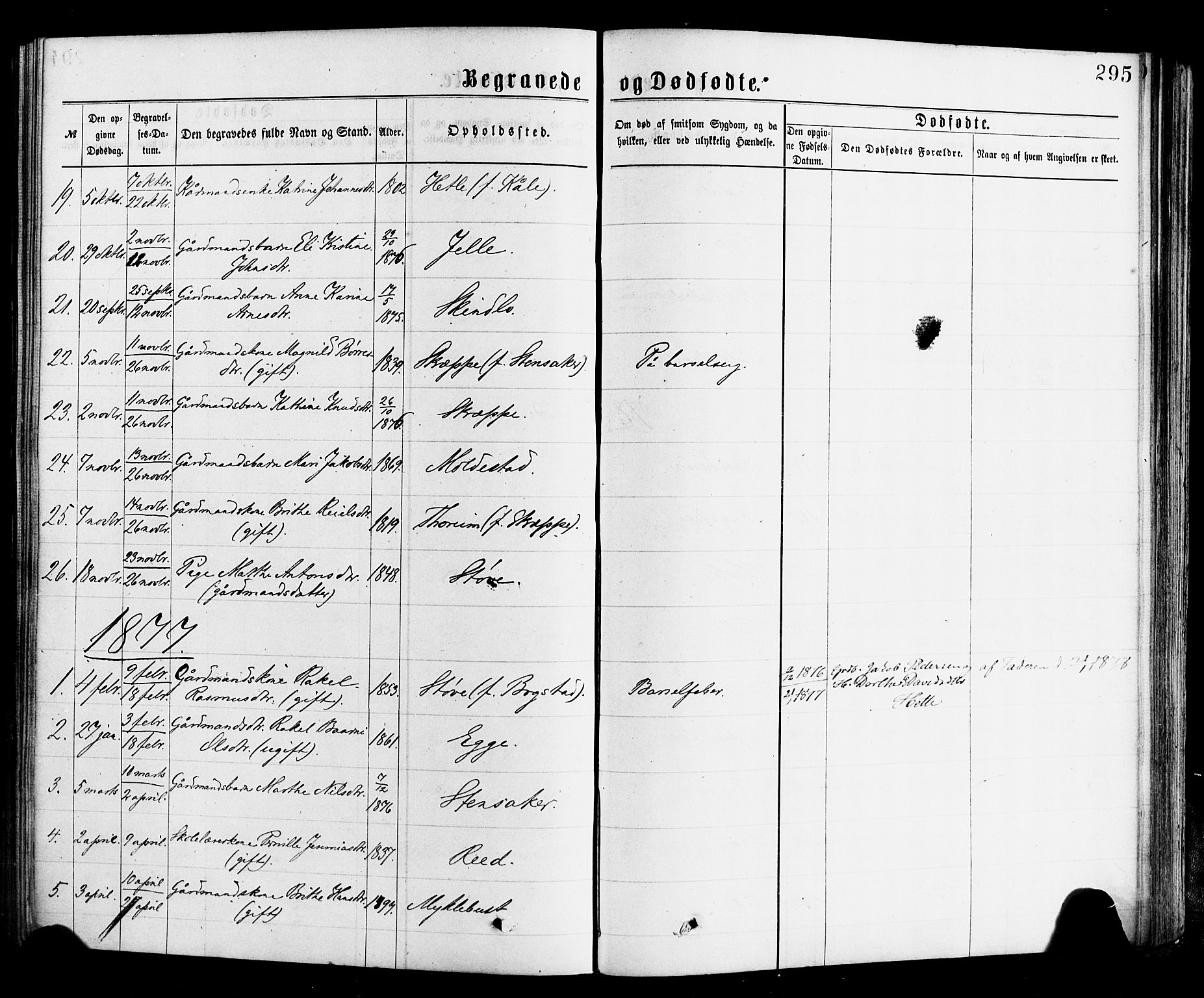 Gloppen sokneprestembete, SAB/A-80101/H/Haa/Haac/L0001: Parish register (official) no. C 1, 1871-1886, p. 295