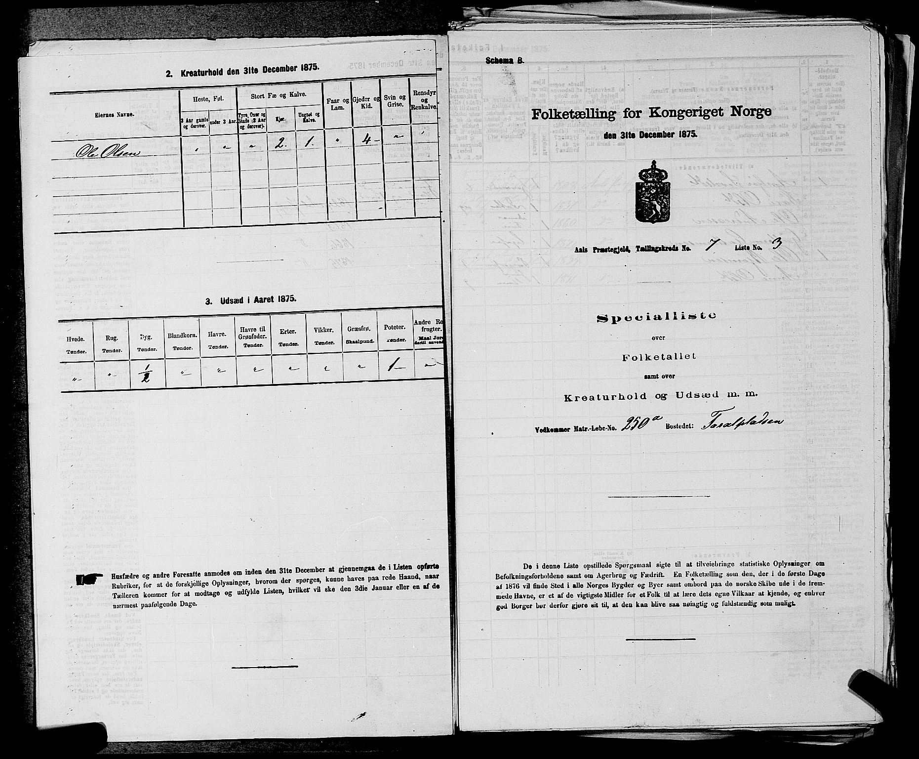 SAKO, 1875 census for 0619P Ål, 1875, p. 840