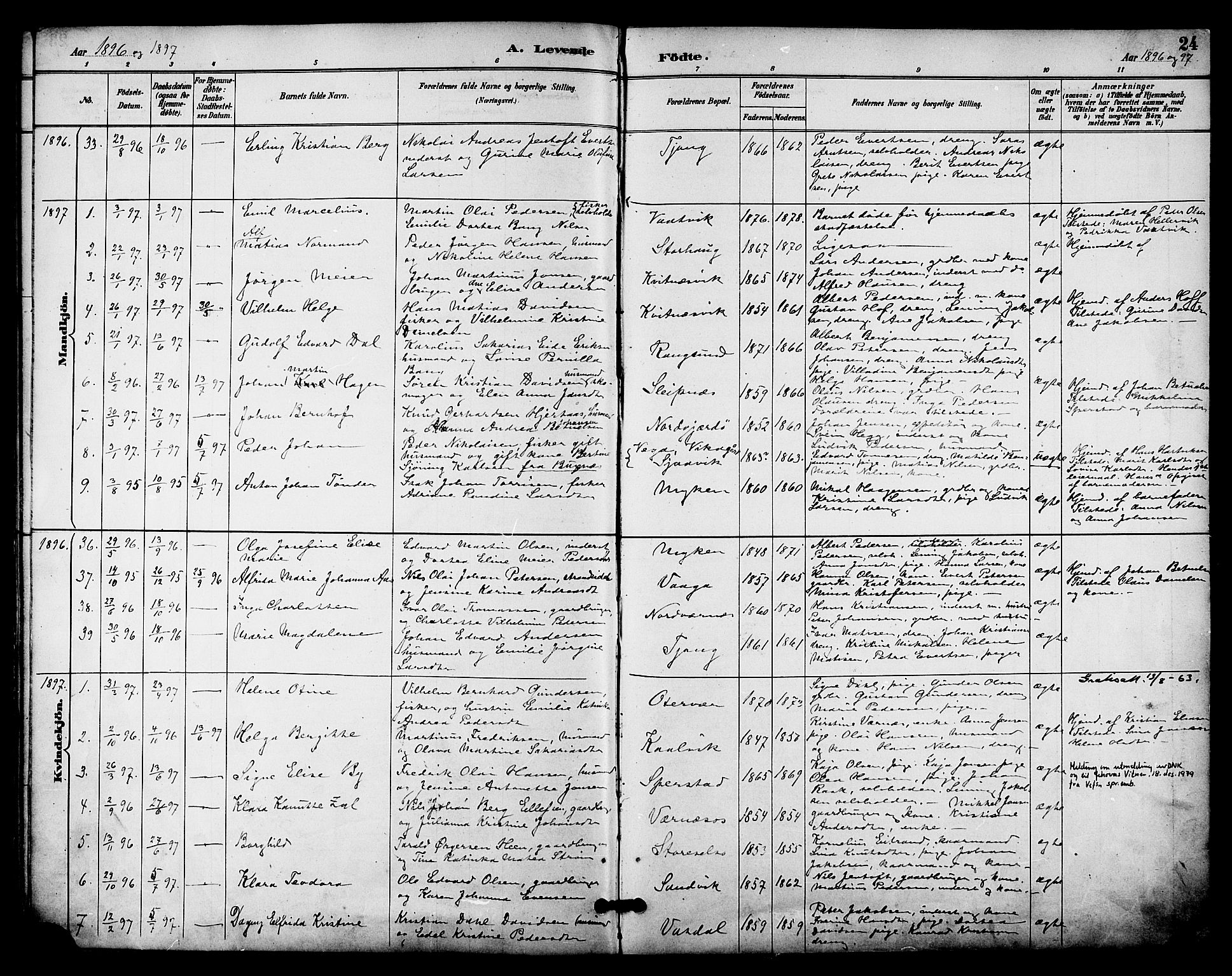 Ministerialprotokoller, klokkerbøker og fødselsregistre - Nordland, SAT/A-1459/841/L0610: Parish register (official) no. 841A14, 1890-1901, p. 24