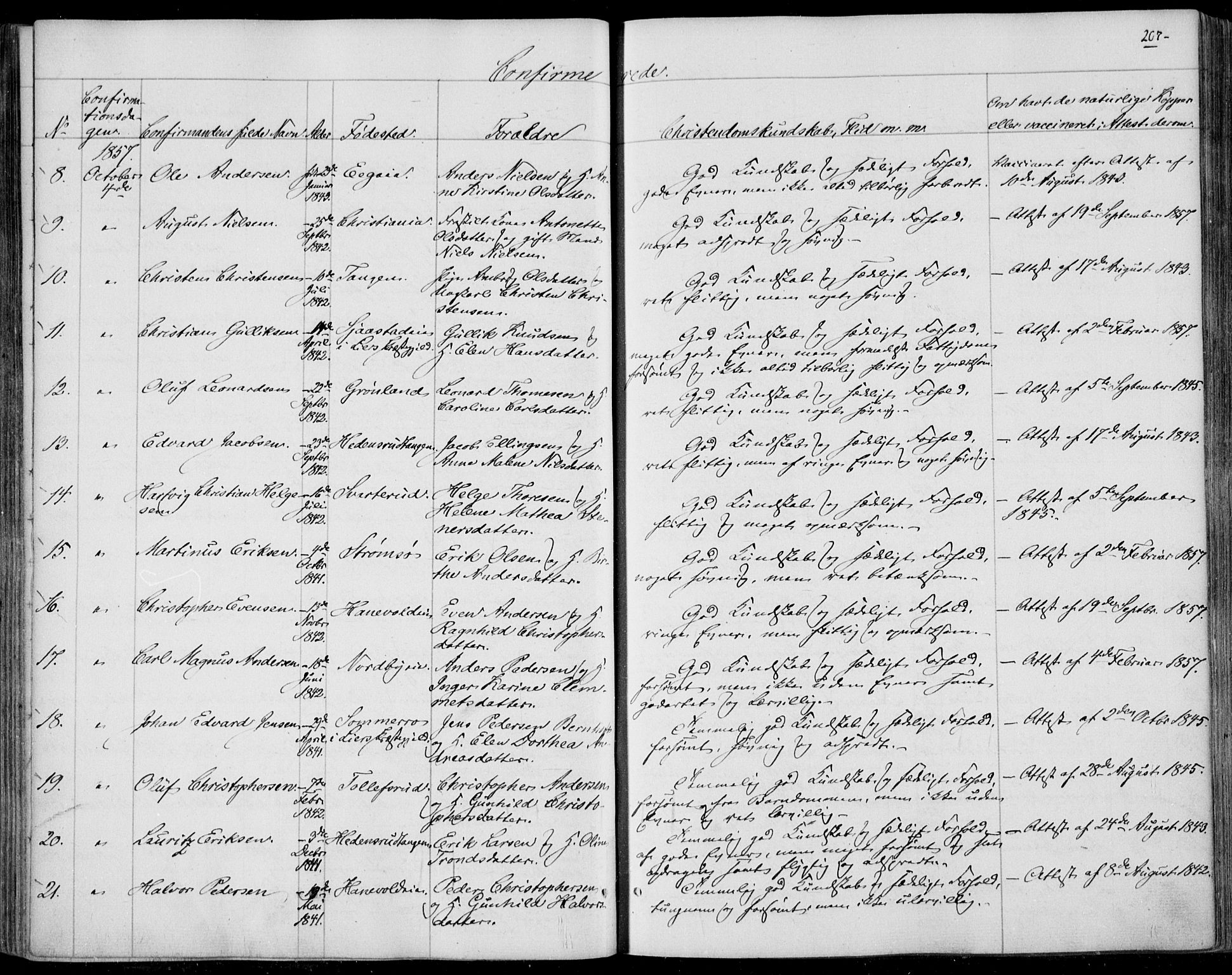 Skoger kirkebøker, SAKO/A-59/F/Fa/L0003: Parish register (official) no. I 3, 1842-1861, p. 207