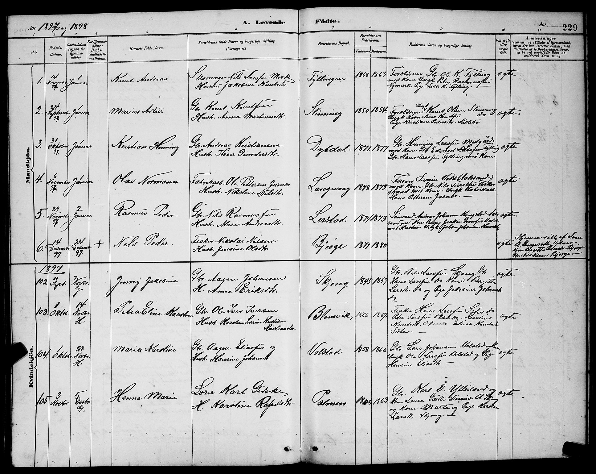 Ministerialprotokoller, klokkerbøker og fødselsregistre - Møre og Romsdal, AV/SAT-A-1454/528/L0431: Parish register (copy) no. 528C12, 1885-1898, p. 229