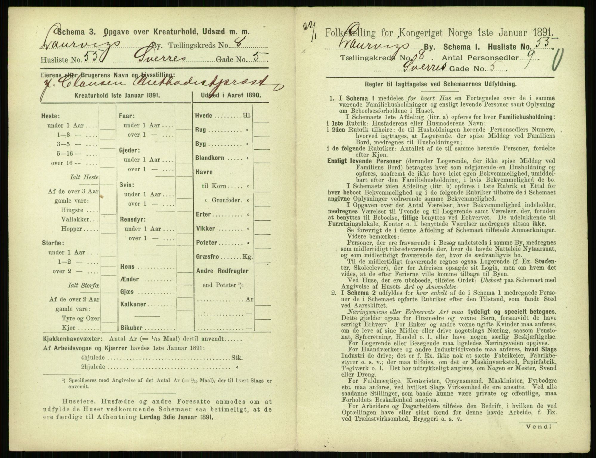 RA, 1891 census for 0707 Larvik, 1891, p. 1115