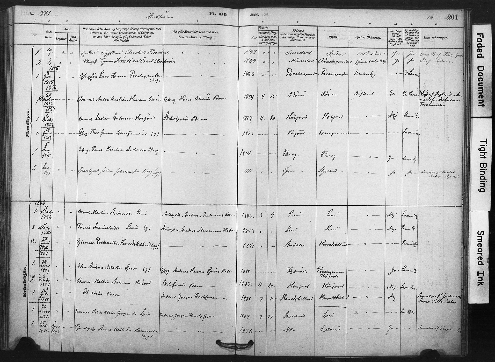 Andebu kirkebøker, AV/SAKO-A-336/F/Fb/L0001: Parish register (official) no. II 1, 1878-1909, p. 201