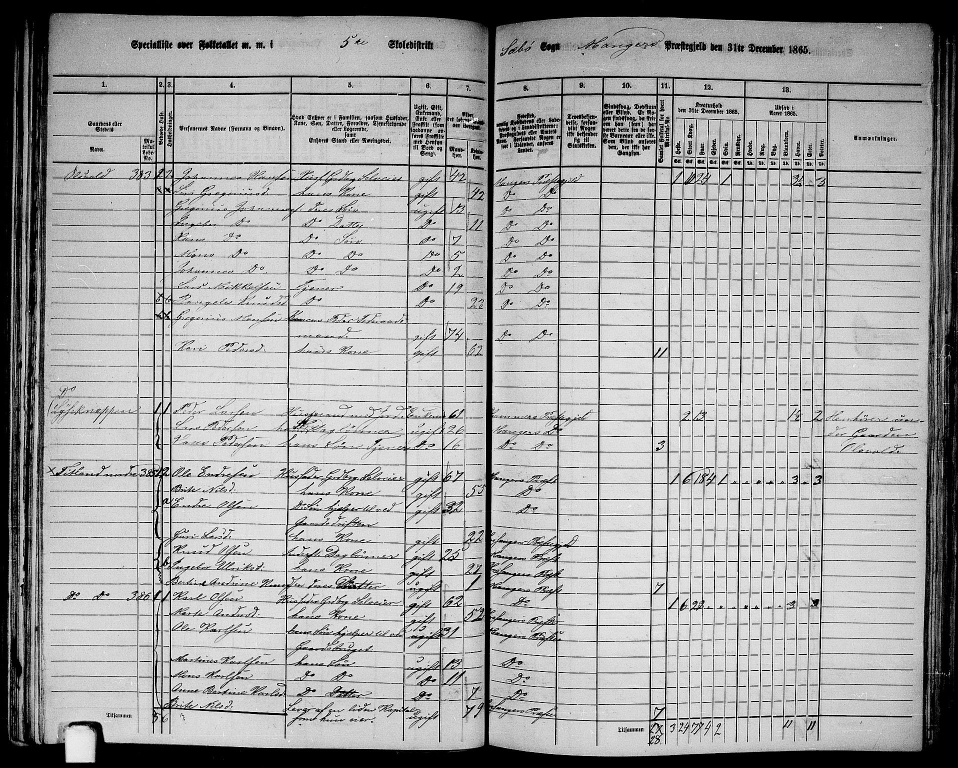 RA, 1865 census for Manger, 1865, p. 101